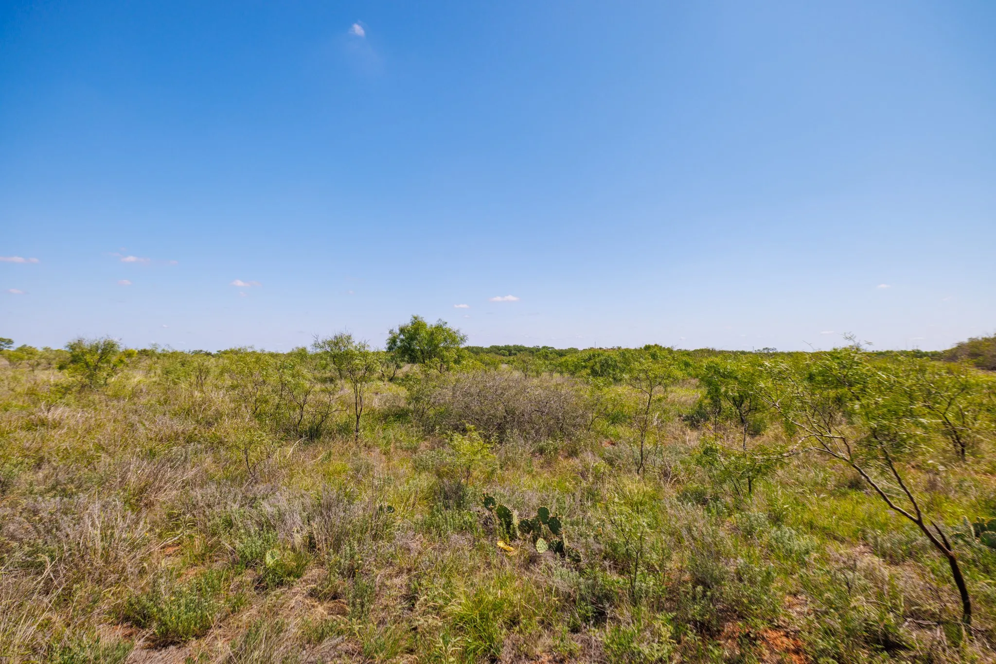 Ranch For Sale in Fisher County , TBD 179 County Rd 161, Trent, Texas 79561, 0, 0, Garage spaces, 0 Sqft, built in 0, Price $525,000, mls#21287868, Real Estate Agent in Trent, Homes For Sale in Fisher county, Homes For Sale in Trent, Realtor in Trent Texas, Real Estate Brokerage Independent Realty Texas, Luminita Cordes Realtor