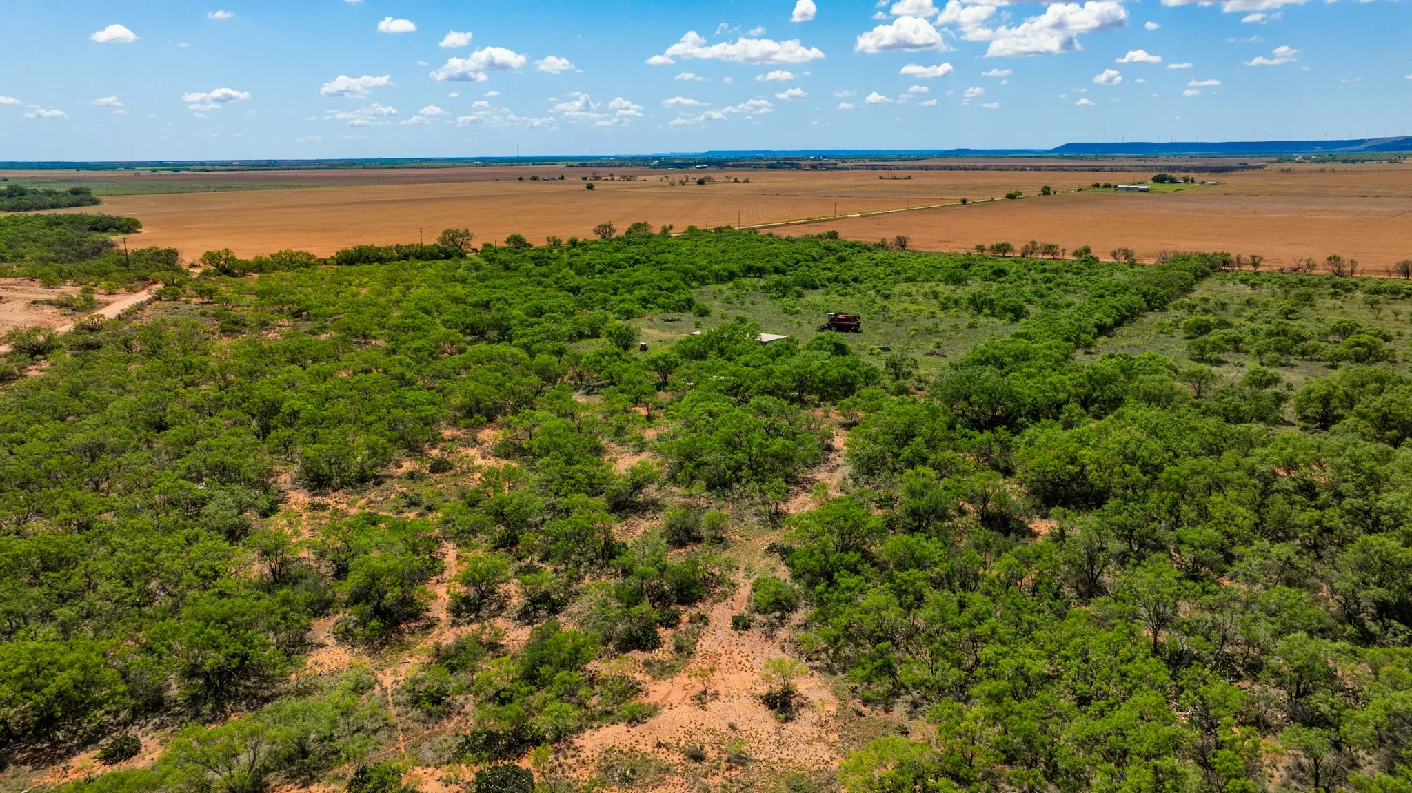 Ranch For Sale in Fisher County , TBD 179 County Rd 161, Trent, Texas 79561, 0, 0, Garage spaces, 0 Sqft, built in 0, Price $525,000, mls#21287868, Real Estate Agent in Trent, Homes For Sale in Fisher county, Homes For Sale in Trent, Realtor in Trent Texas, Real Estate Brokerage Independent Realty Texas, Luminita Cordes Realtor