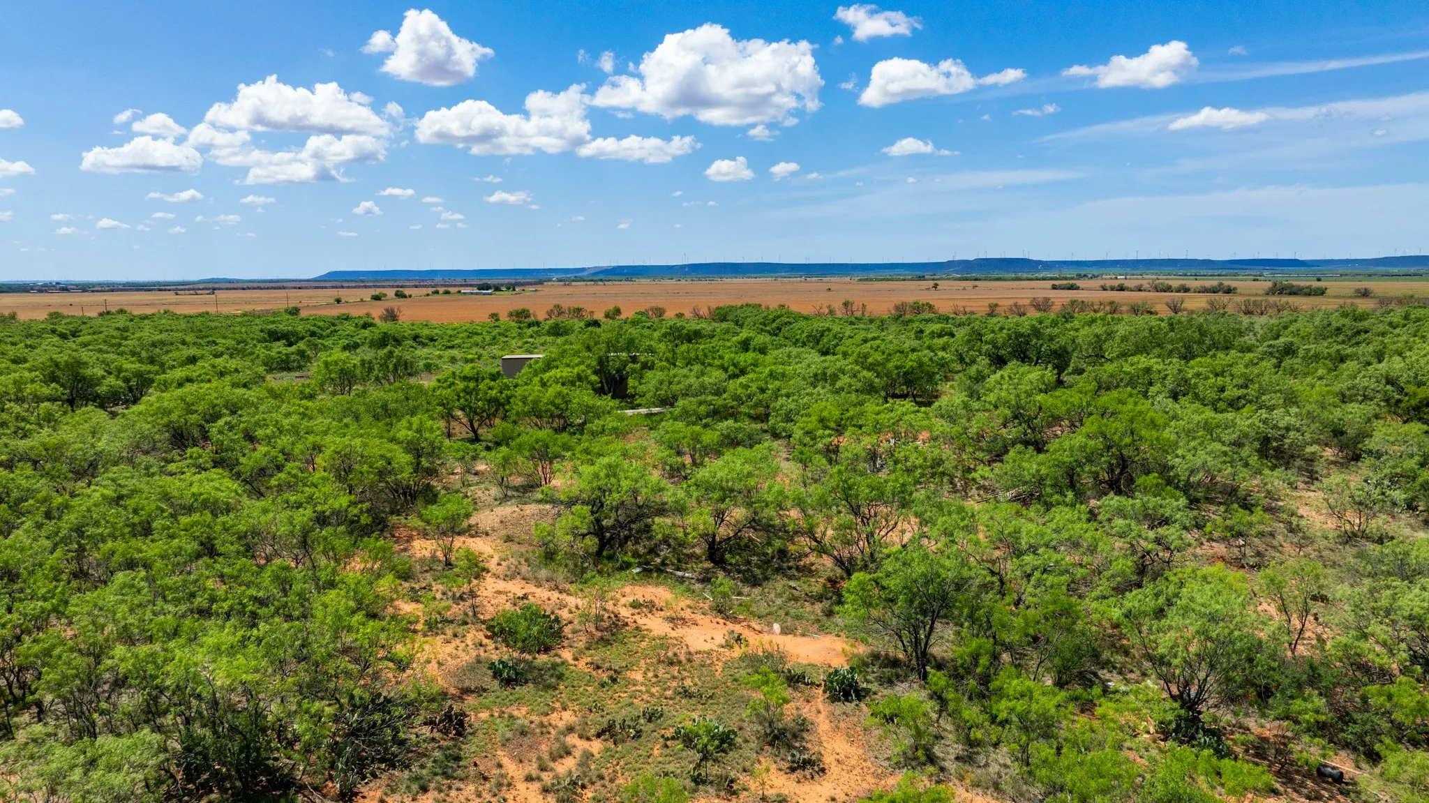 Ranch For Sale in Fisher County , TBD 179 County Rd 161, Trent, Texas 79561, 0, 0, Garage spaces, 0 Sqft, built in 0, Price $525,000, mls#21287868, Real Estate Agent in Trent, Homes For Sale in Fisher county, Homes For Sale in Trent, Realtor in Trent Texas, Real Estate Brokerage Independent Realty Texas, Luminita Cordes Realtor