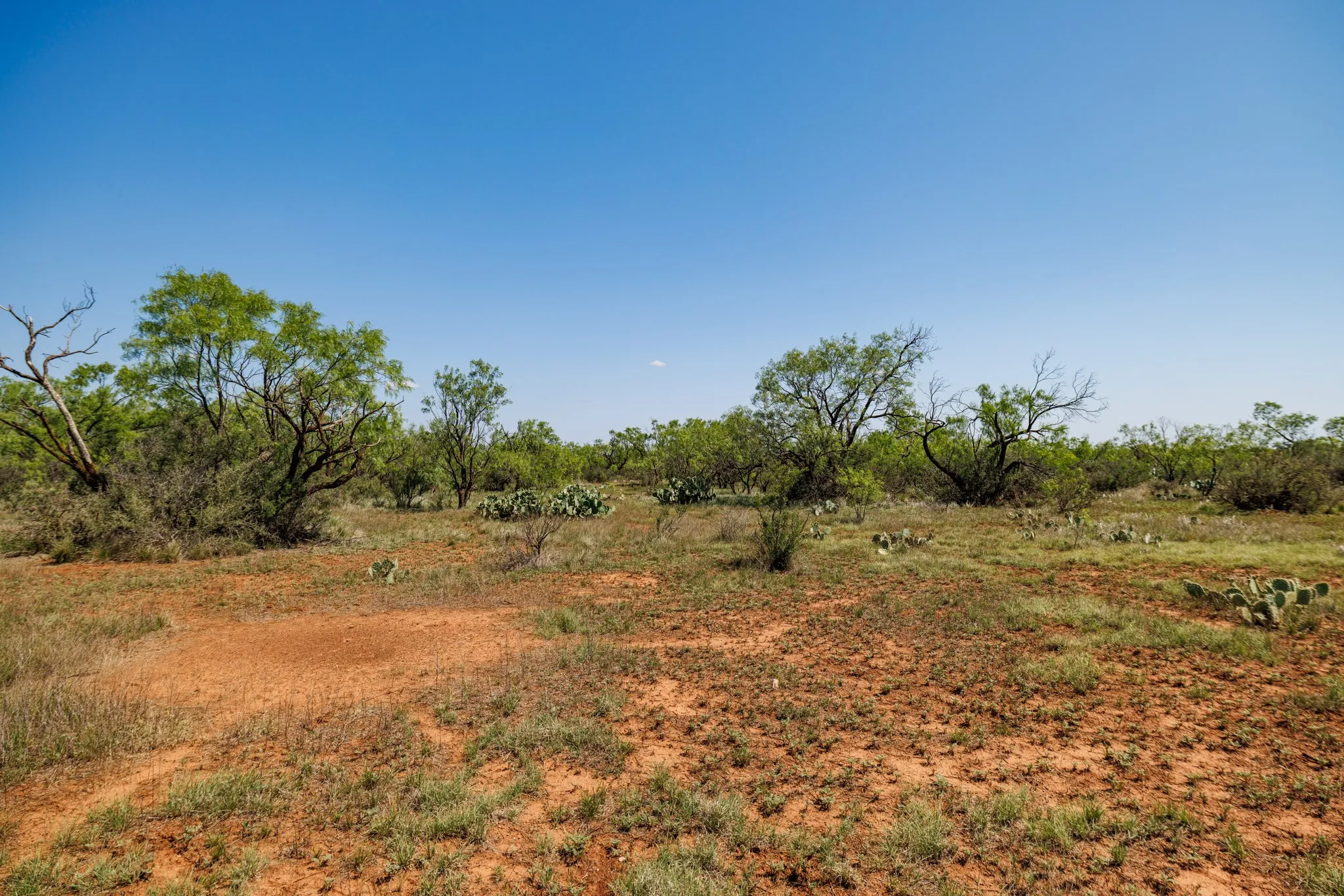 Ranch For Sale in Fisher County , TBD 179 County Rd 161, Trent, Texas 79561, 0, 0, Garage spaces, 0 Sqft, built in 0, Price $525,000, mls#21287868, Real Estate Agent in Trent, Homes For Sale in Fisher county, Homes For Sale in Trent, Realtor in Trent Texas, Real Estate Brokerage Independent Realty Texas, Luminita Cordes Realtor