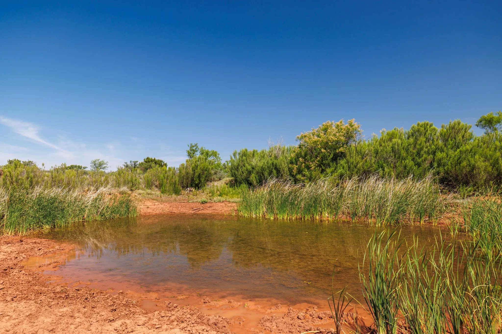 Ranch For Sale in Fisher County , TBD 179 County Rd 161, Trent, Texas 79561, 0, 0, Garage spaces, 0 Sqft, built in 0, Price $525,000, mls#21287868, Real Estate Agent in Trent, Homes For Sale in Fisher county, Homes For Sale in Trent, Realtor in Trent Texas, Real Estate Brokerage Independent Realty Texas, Luminita Cordes Realtor