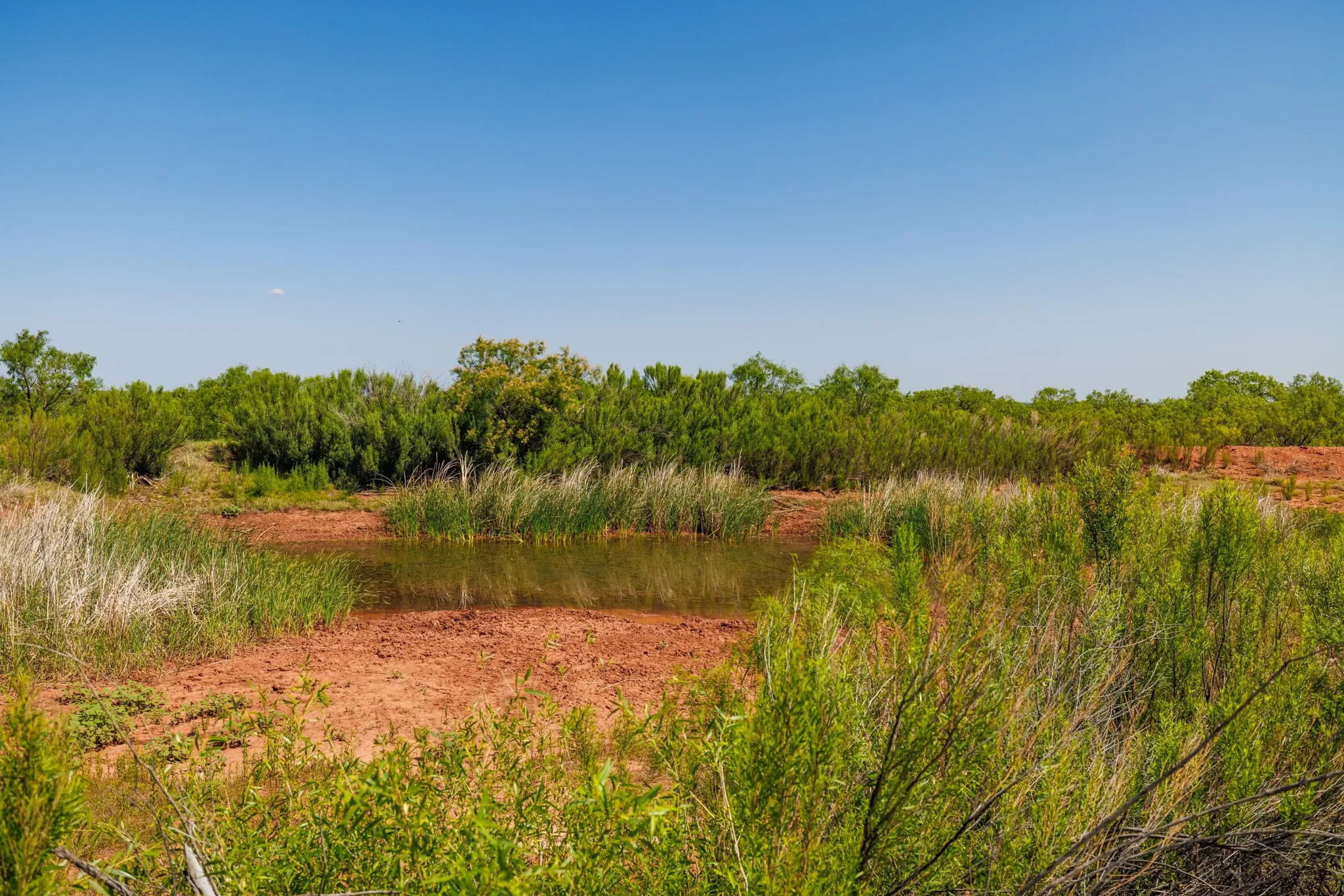 Ranch For Sale in Fisher County , TBD 179 County Rd 161, Trent, Texas 79561, 0, 0, Garage spaces, 0 Sqft, built in 0, Price $525,000, mls#21287868, Real Estate Agent in Trent, Homes For Sale in Fisher county, Homes For Sale in Trent, Realtor in Trent Texas, Real Estate Brokerage Independent Realty Texas, Luminita Cordes Realtor