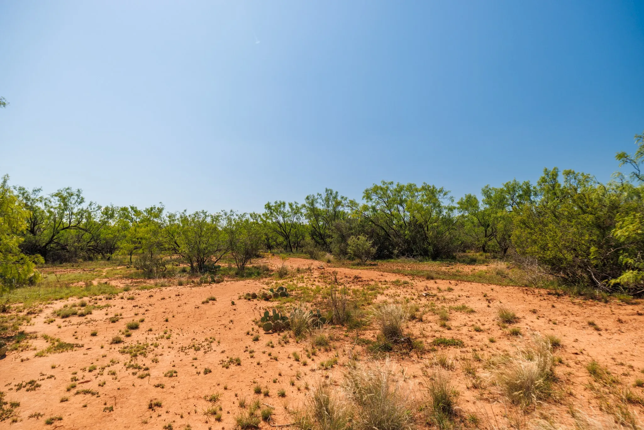 Ranch For Sale in Fisher County , TBD 179 County Rd 161, Trent, Texas 79561, 0, 0, Garage spaces, 0 Sqft, built in 0, Price $525,000, mls#21287868, Real Estate Agent in Trent, Homes For Sale in Fisher county, Homes For Sale in Trent, Realtor in Trent Texas, Real Estate Brokerage Independent Realty Texas, Luminita Cordes Realtor