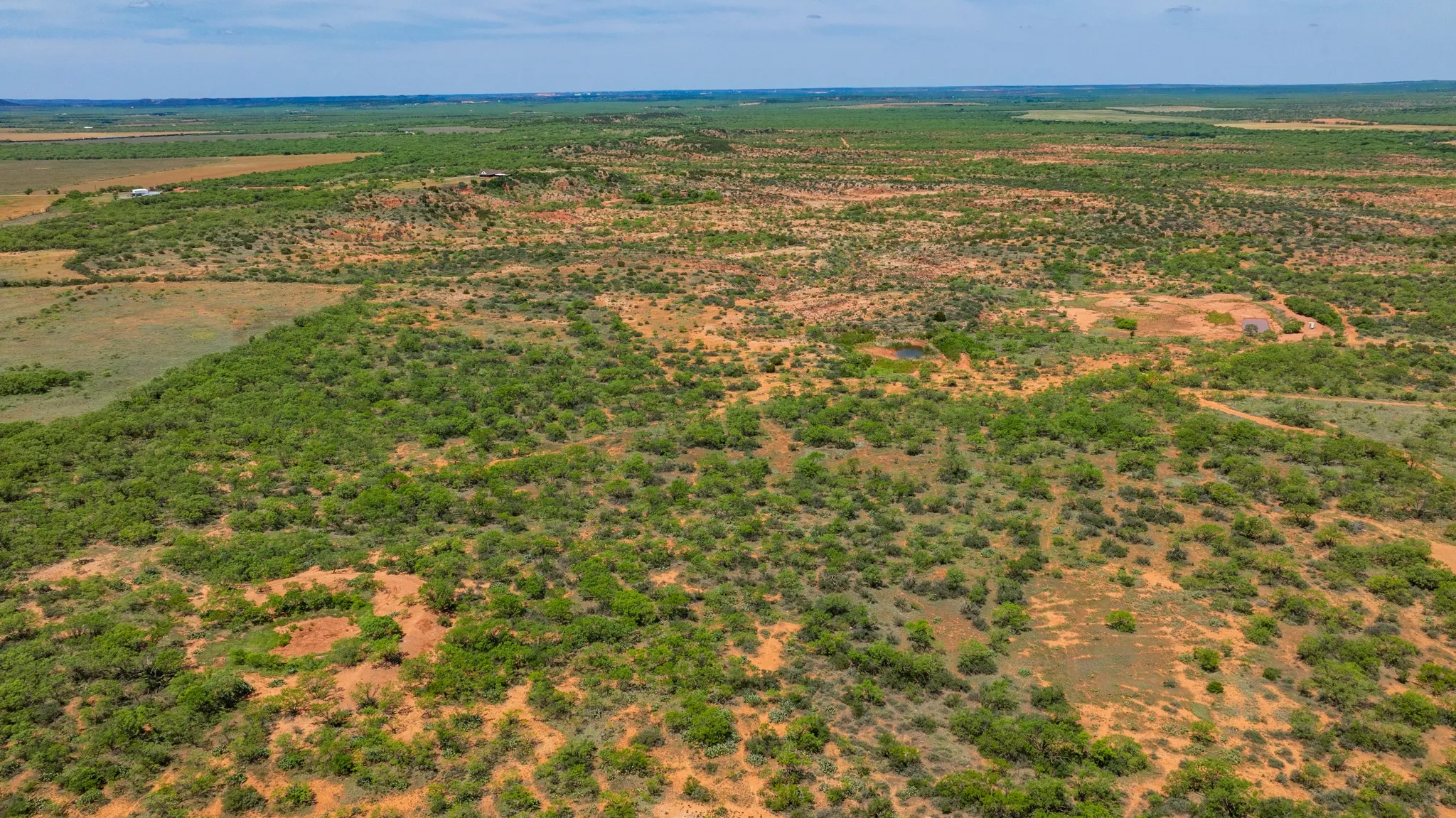 Ranch For Sale in Fisher County , TBD 179 County Rd 161, Trent, Texas 79561, 0, 0, Garage spaces, 0 Sqft, built in 0, Price $525,000, mls#21287868, Real Estate Agent in Trent, Homes For Sale in Fisher county, Homes For Sale in Trent, Realtor in Trent Texas, Real Estate Brokerage Independent Realty Texas, Luminita Cordes Realtor