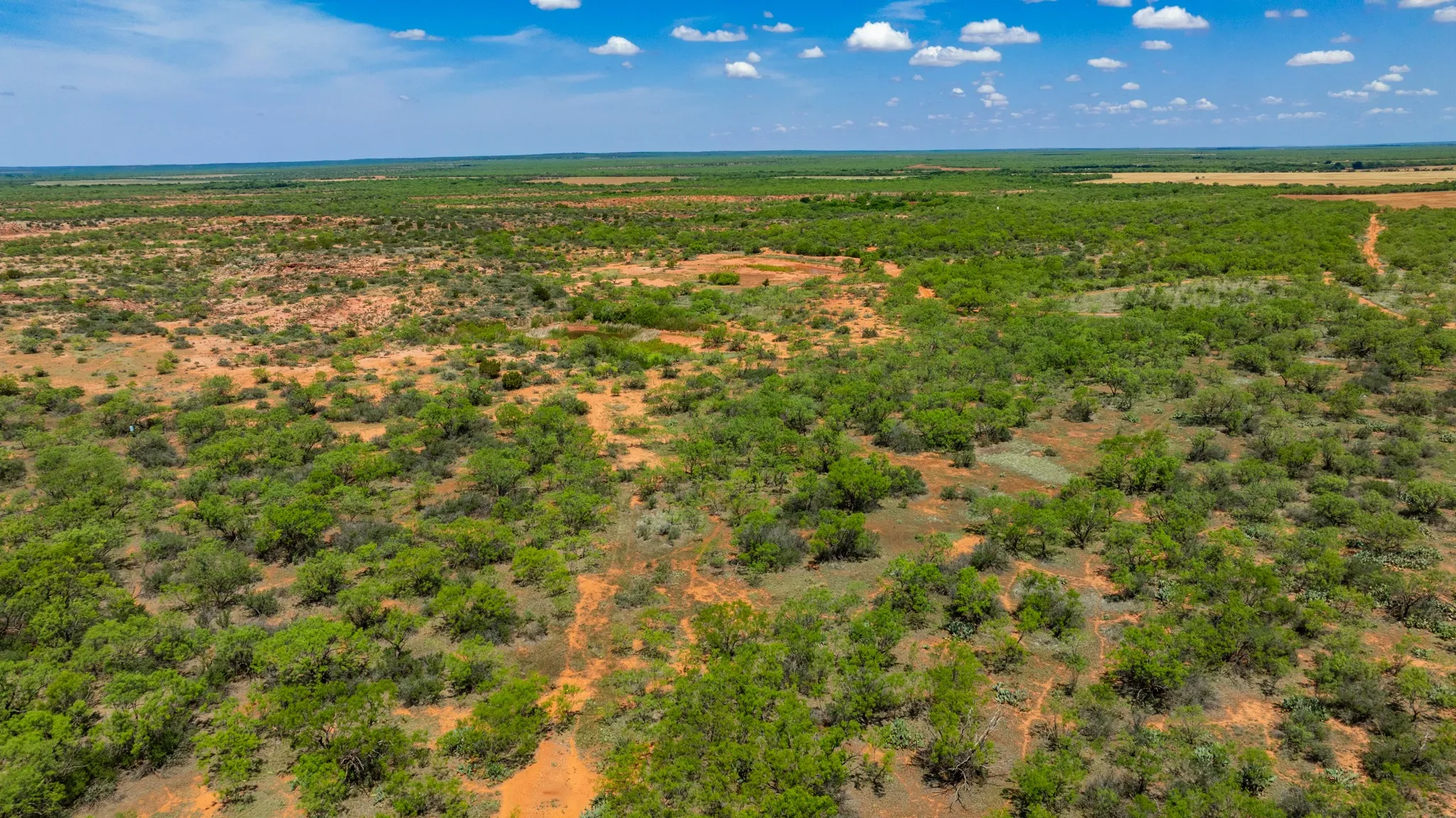 Ranch For Sale in Fisher County , TBD 179 County Rd 161, Trent, Texas 79561, 0, 0, Garage spaces, 0 Sqft, built in 0, Price $525,000, mls#21287868, Real Estate Agent in Trent, Homes For Sale in Fisher county, Homes For Sale in Trent, Realtor in Trent Texas, Real Estate Brokerage Independent Realty Texas, Luminita Cordes Realtor