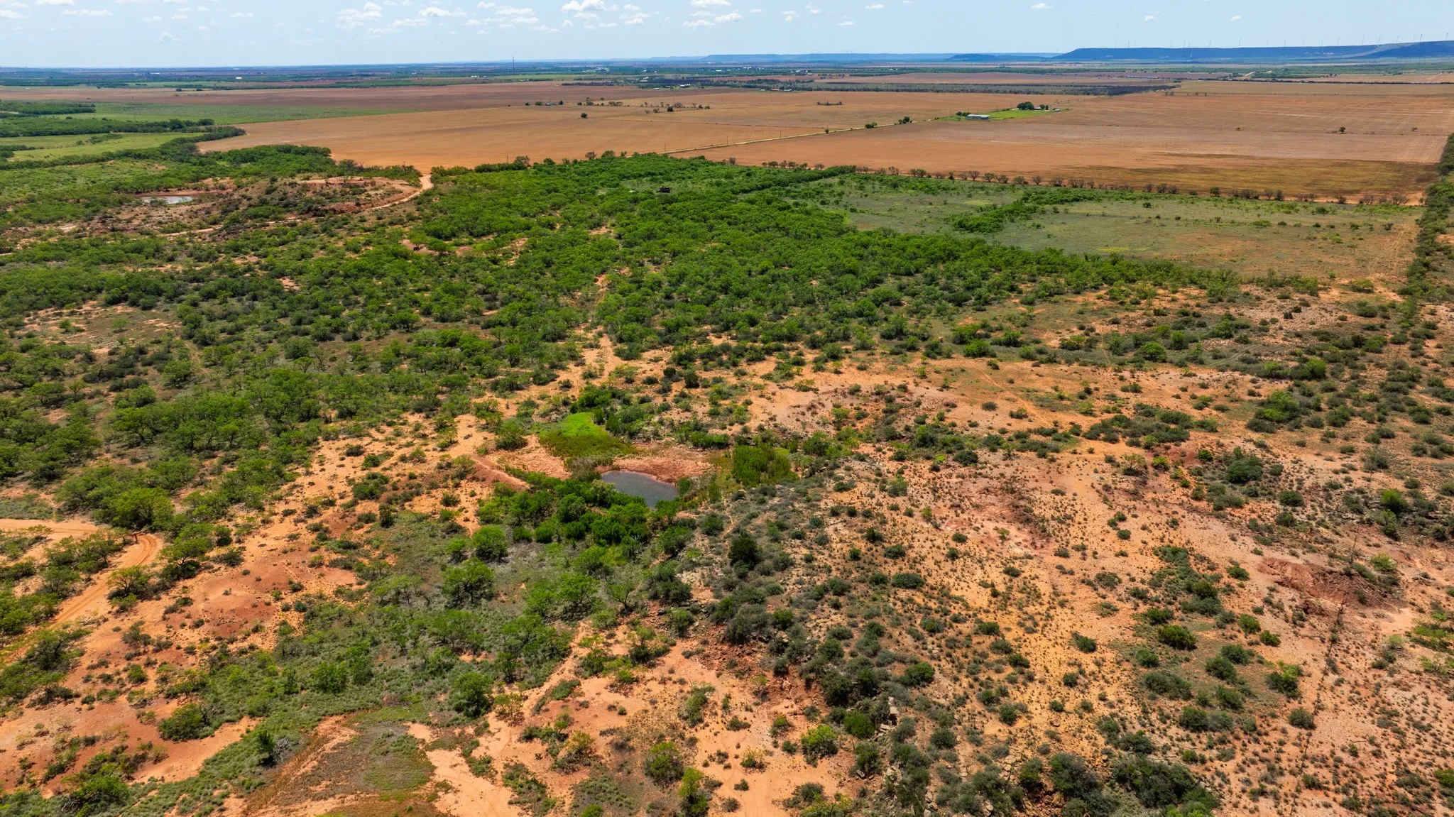 Ranch For Sale in Fisher County , TBD 179 County Rd 161, Trent, Texas 79561, 0, 0, Garage spaces, 0 Sqft, built in 0, Price $525,000, mls#21287868, Real Estate Agent in Trent, Homes For Sale in Fisher county, Homes For Sale in Trent, Realtor in Trent Texas, Real Estate Brokerage Independent Realty Texas, Luminita Cordes Realtor