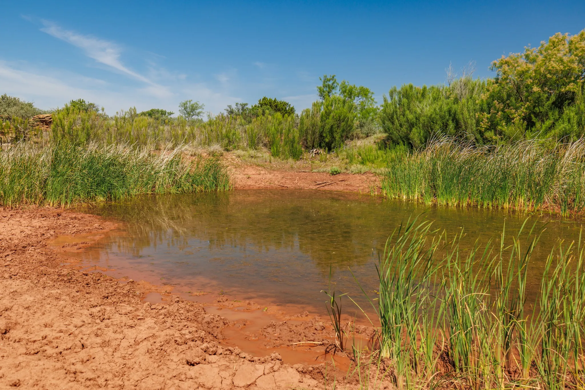 Ranch For Sale in Fisher County , TBD 179 County Rd 161, Trent, Texas 79561, 0, 0, Garage spaces, 0 Sqft, built in 0, Price $525,000, mls#21287868, Real Estate Agent in Trent, Homes For Sale in Fisher county, Homes For Sale in Trent, Realtor in Trent Texas, Real Estate Brokerage Independent Realty Texas, Luminita Cordes Realtor