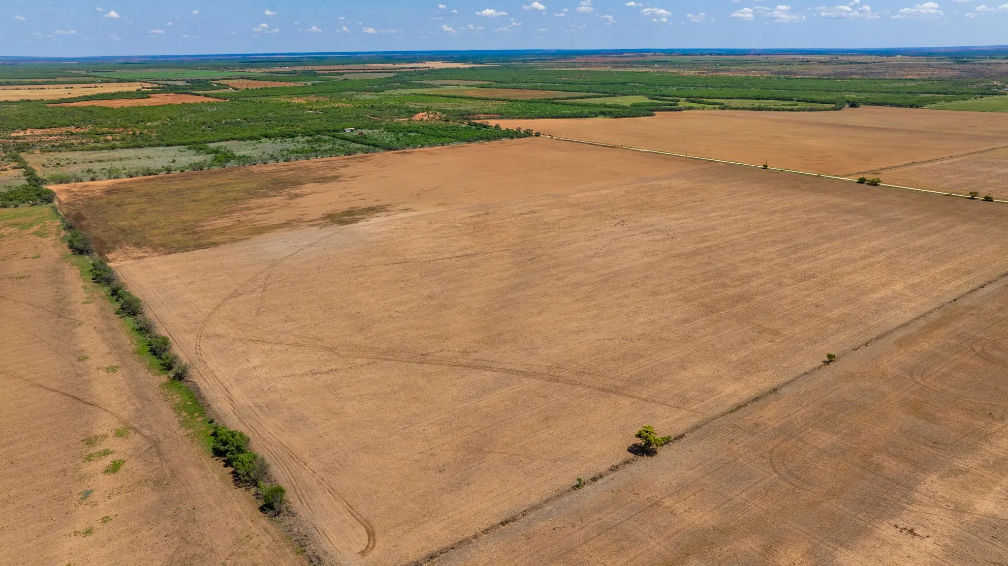 Ranch For Sale in Fisher County , TBD 179 County Rd 161, Trent, Texas 79561, 0, 0, Garage spaces, 0 Sqft, built in 0, Price $525,000, mls#21287868, Real Estate Agent in Trent, Homes For Sale in Fisher county, Homes For Sale in Trent, Realtor in Trent Texas, Real Estate Brokerage Independent Realty Texas, Luminita Cordes Realtor