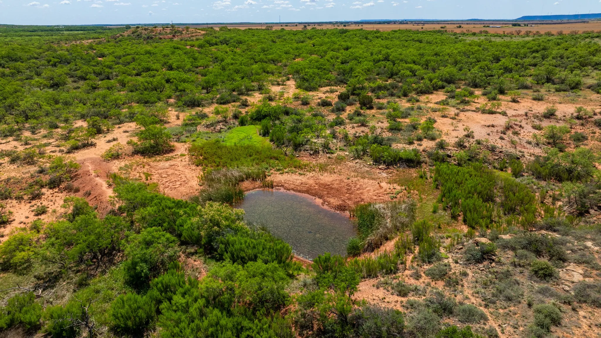 Ranch For Sale in Fisher County , TBD 179 County Rd 161, Trent, Texas 79561, 0, 0, Garage spaces, 0 Sqft, built in 0, Price $525,000, mls#21287868, Real Estate Agent in Trent, Homes For Sale in Fisher county, Homes For Sale in Trent, Realtor in Trent Texas, Real Estate Brokerage Independent Realty Texas, Luminita Cordes Realtor
