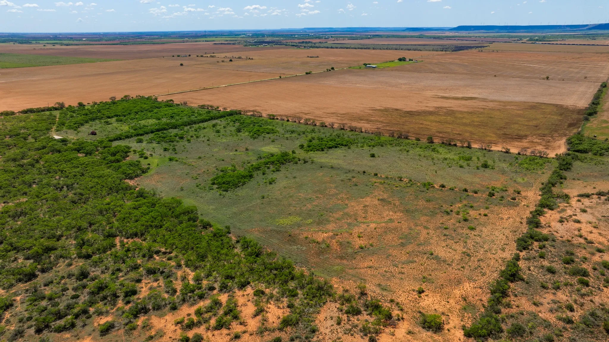 Ranch For Sale in Fisher County , TBD 179 County Rd 161, Trent, Texas 79561, 0, 0, Garage spaces, 0 Sqft, built in 0, Price $525,000, mls#21287868, Real Estate Agent in Trent, Homes For Sale in Fisher county, Homes For Sale in Trent, Realtor in Trent Texas, Real Estate Brokerage Independent Realty Texas, Luminita Cordes Realtor