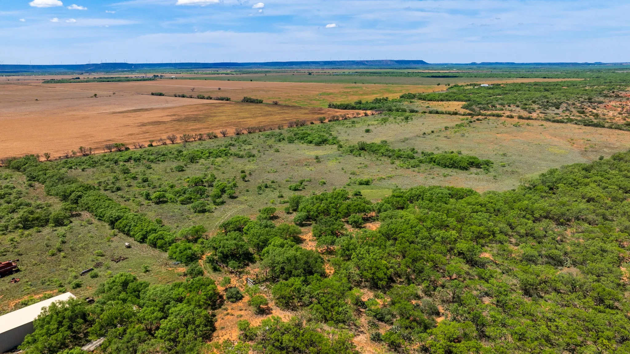 Ranch For Sale in Fisher County , TBD 179 County Rd 161, Trent, Texas 79561, 0, 0, Garage spaces, 0 Sqft, built in 0, Price $525,000, mls#21287868, Real Estate Agent in Trent, Homes For Sale in Fisher county, Homes For Sale in Trent, Realtor in Trent Texas, Real Estate Brokerage Independent Realty Texas, Luminita Cordes Realtor