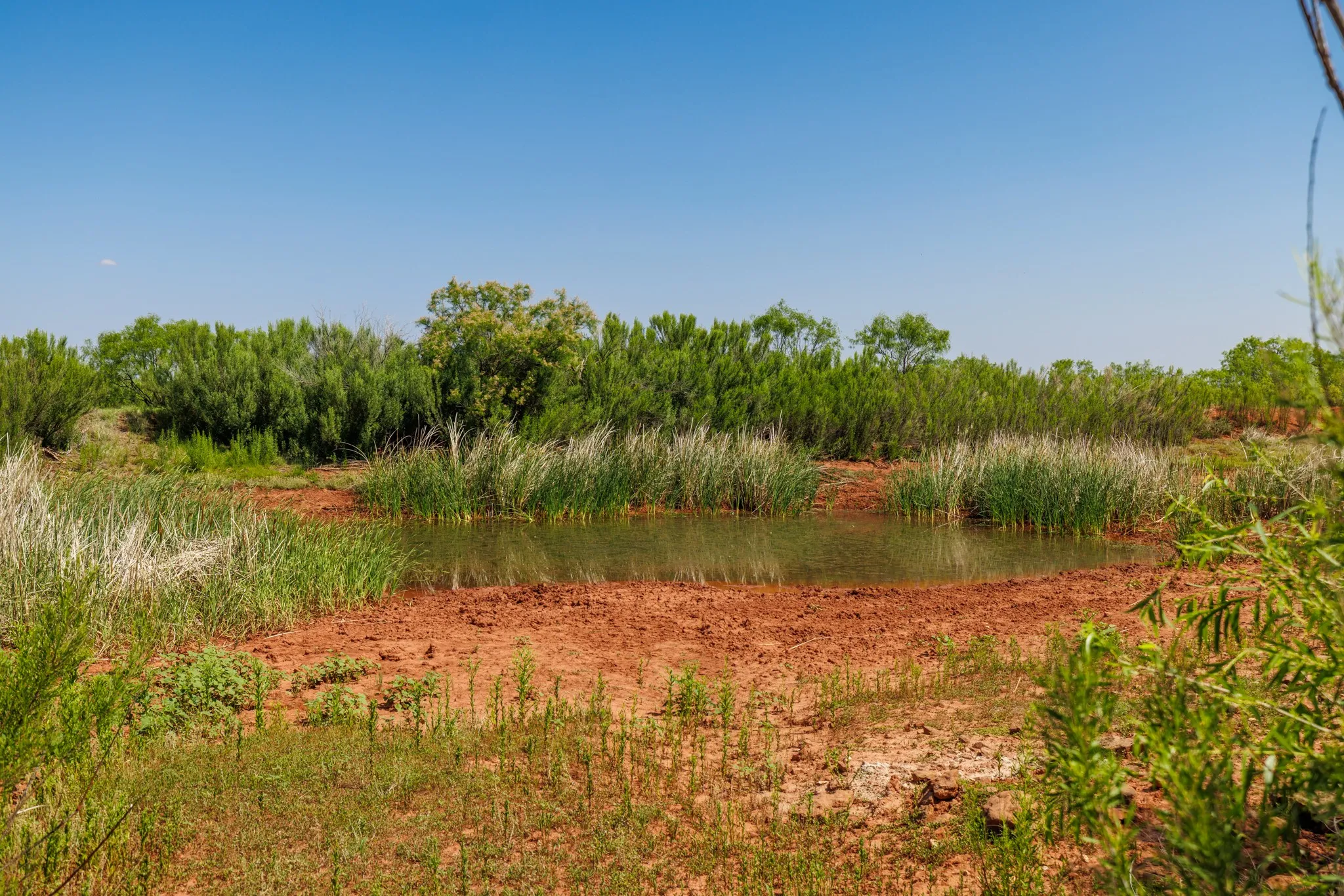 Ranch For Sale in Fisher County , TBD 179 County Rd 161, Trent, Texas 79561, 0, 0, Garage spaces, 0 Sqft, built in 0, Price $525,000, mls#21287868, Real Estate Agent in Trent, Homes For Sale in Fisher county, Homes For Sale in Trent, Realtor in Trent Texas, Real Estate Brokerage Independent Realty Texas, Luminita Cordes Realtor