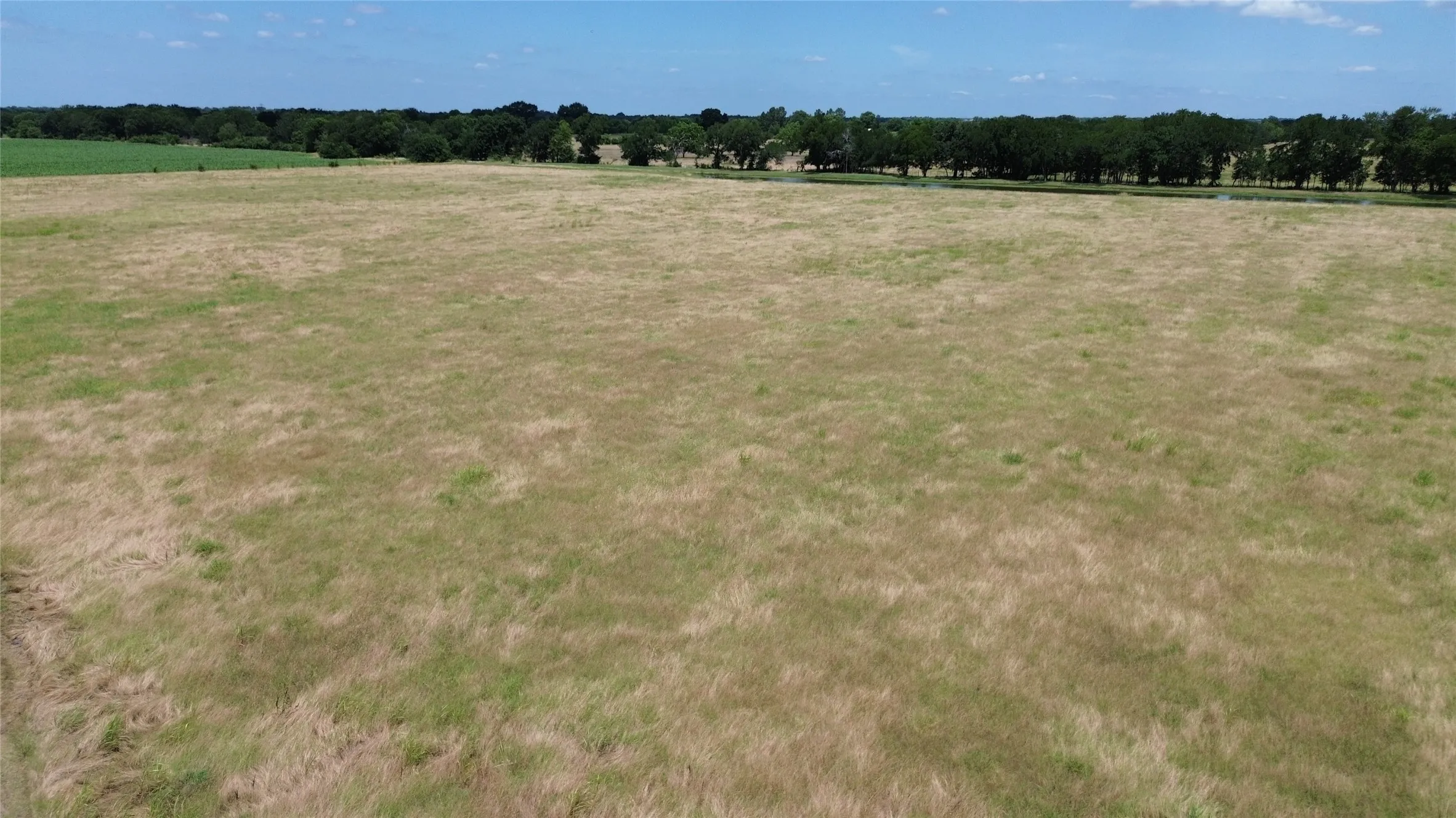 Farm For Sale in Collin County , 15901 County Road 1030, Blue Ridge, Texas 75424, 3 Bedroom, 2 Bathroom, 2 Garage spaces, 1,770 Sqft, built in 1994, mls#21287746, Real Estate Agent in Blue Ridge, Homes For Sale in Collin county, Homes For Sale in Blue Ridge, Realtor in Blue Ridge Texas, Real Estate Brokerage Independent Realty Texas, Luminita Cordes Realtor
