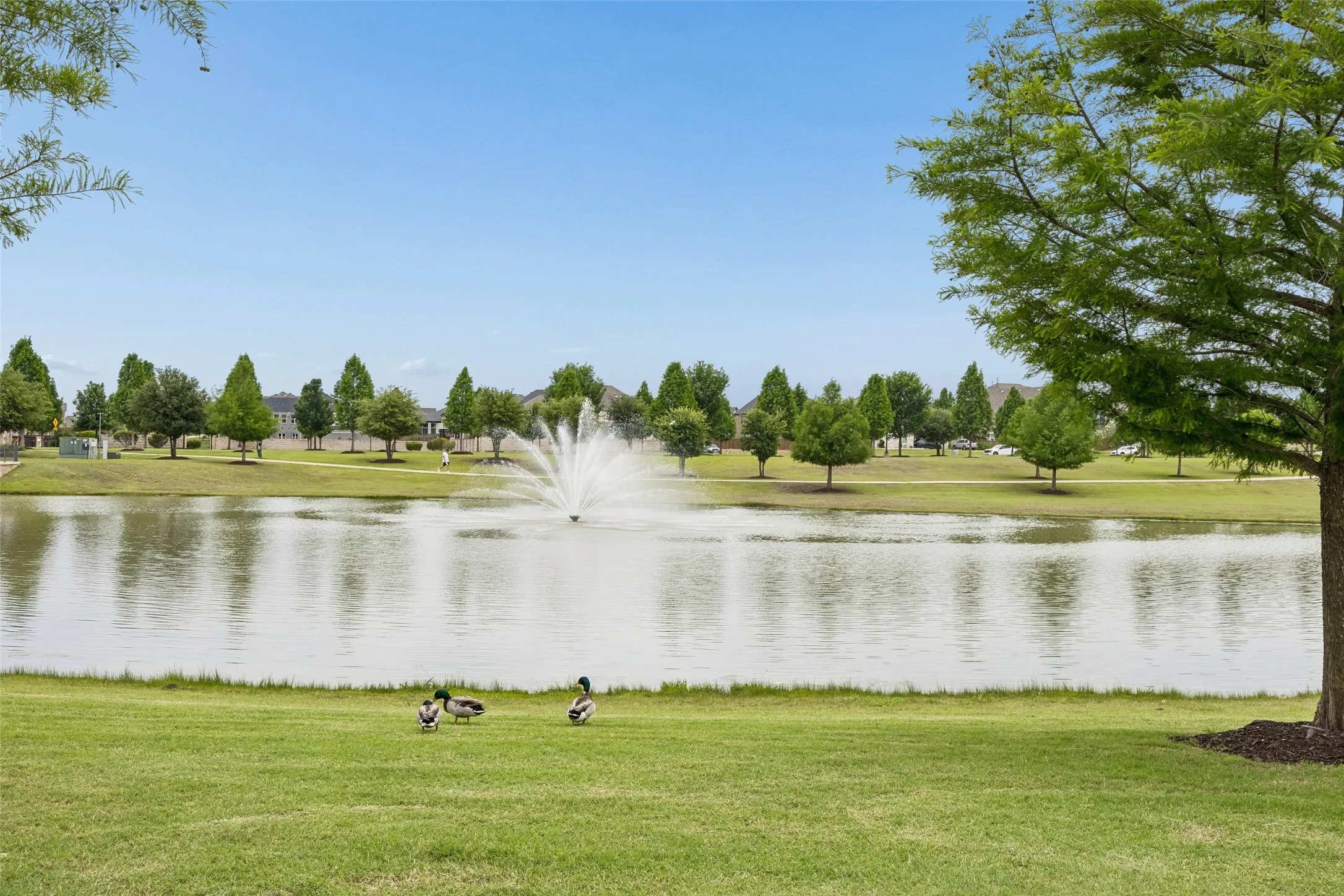 Single Family Residence For Sale in Johnson County , 1800 Tall Grass Court, Mansfield, Texas 76063, 6 Bedrooms, 5 Bathrooms, 3 Garage spaces, 4,421 Sqft, built in 2023, Price $867,000, mls#21277048, Real Estate Agent in Mansfield, Homes For Sale in Johnson county, Homes For Sale in Mansfield, Realtor in Mansfield Texas, Real Estate Brokerage Independent Realty Texas, Luminita Cordes Realtor