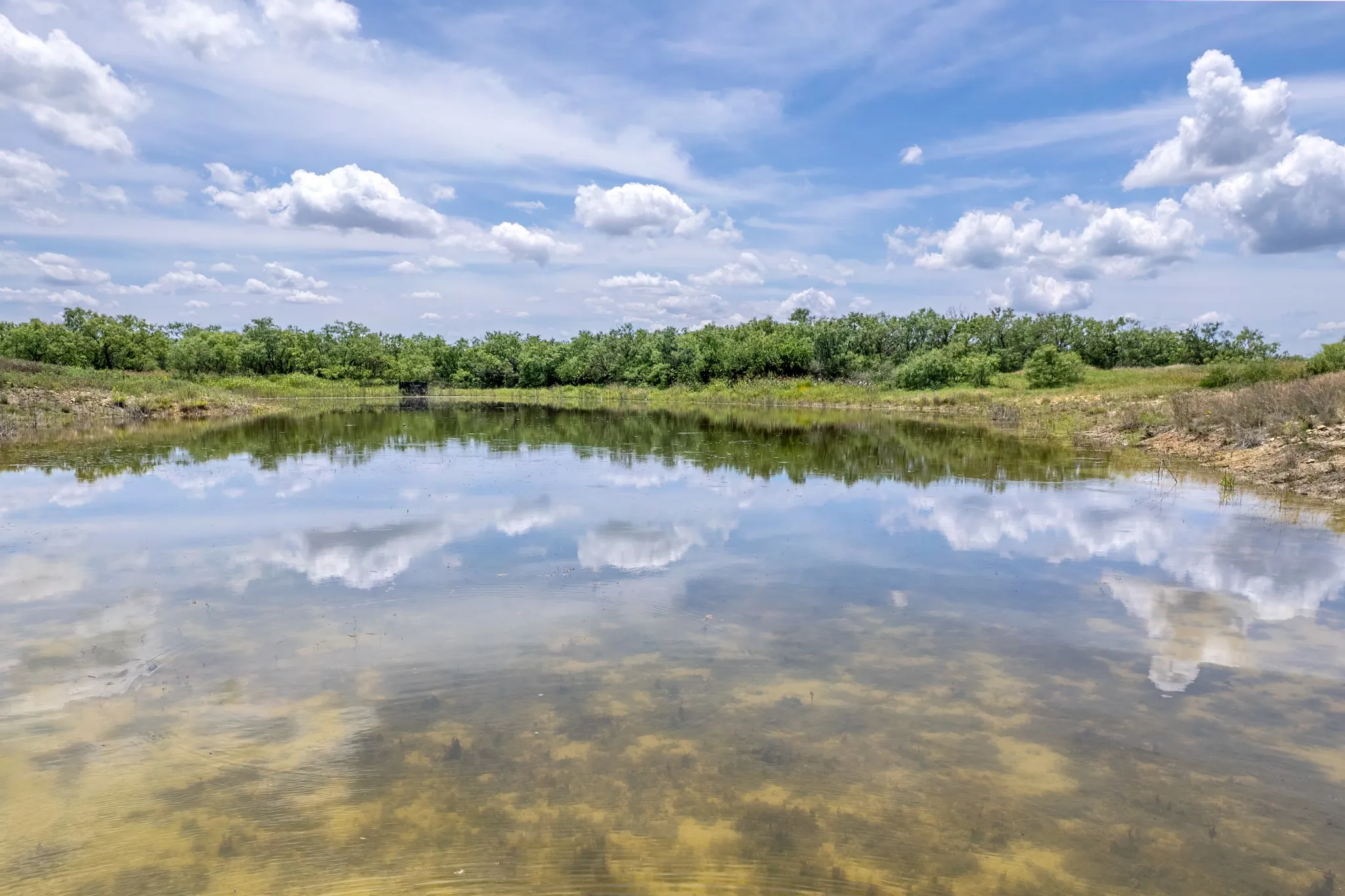 Ranch For Sale in Coleman County , 1171 County Road 315, Gouldbusk, Texas 76845, 0, 0, Garage spaces, 0 Sqft, built in 0, Price $945,000, mls#21287811, Real Estate Agent in Gouldbusk, Homes For Sale in Coleman county, Homes For Sale in Gouldbusk, Realtor in Gouldbusk Texas, Real Estate Brokerage Independent Realty Texas, Luminita Cordes Realtor