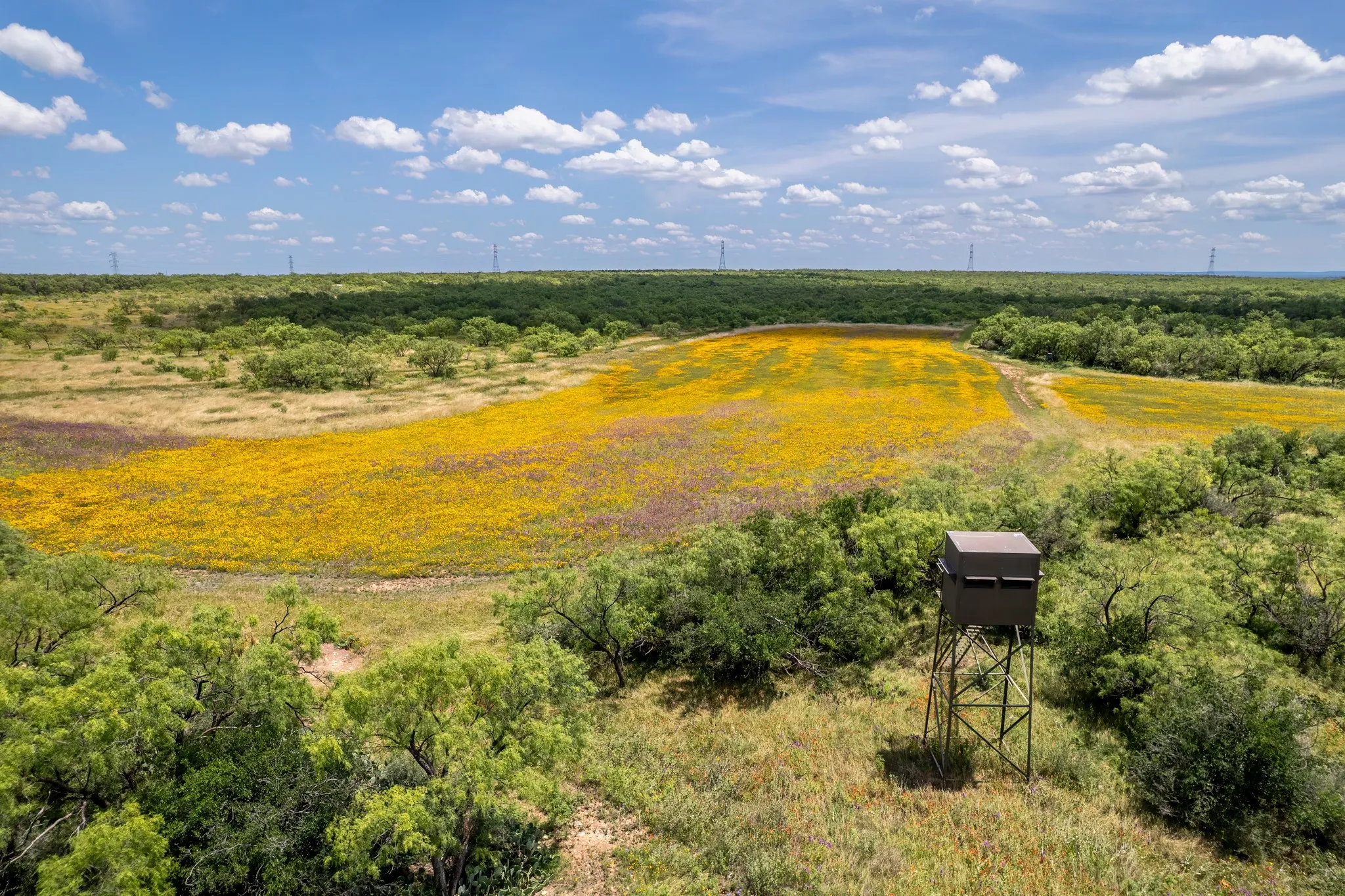 Ranch For Sale in Coleman County , 1171 County Road 315, Gouldbusk, Texas 76845, 0, 0, Garage spaces, 0 Sqft, built in 0, Price $945,000, mls#21287811, Real Estate Agent in Gouldbusk, Homes For Sale in Coleman county, Homes For Sale in Gouldbusk, Realtor in Gouldbusk Texas, Real Estate Brokerage Independent Realty Texas, Luminita Cordes Realtor
