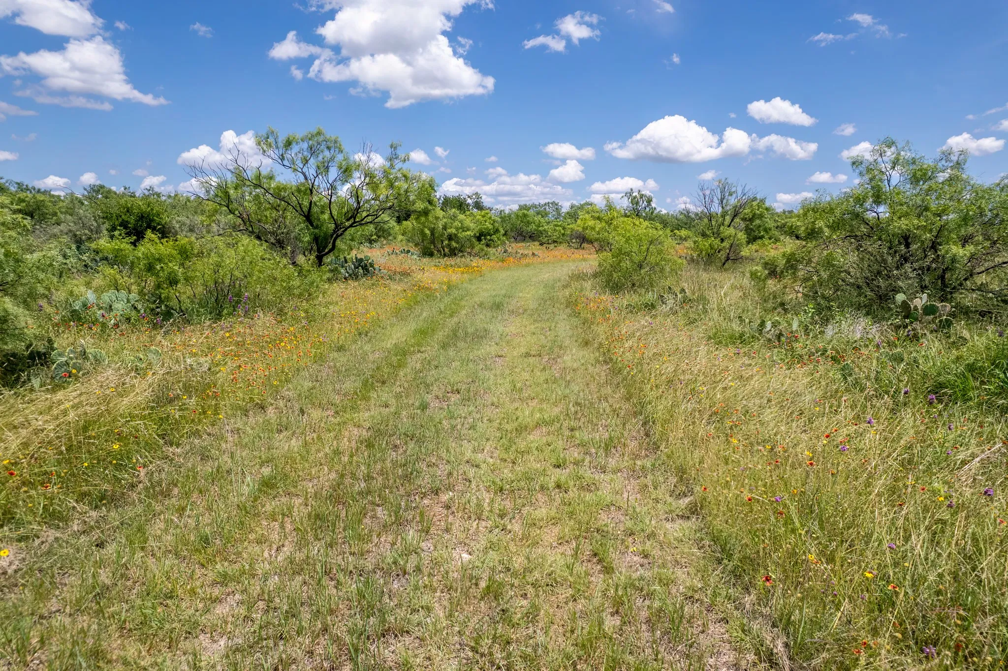 Ranch For Sale in Coleman County , 1171 County Road 315, Gouldbusk, Texas 76845, 0, 0, Garage spaces, 0 Sqft, built in 0, Price $945,000, mls#21287811, Real Estate Agent in Gouldbusk, Homes For Sale in Coleman county, Homes For Sale in Gouldbusk, Realtor in Gouldbusk Texas, Real Estate Brokerage Independent Realty Texas, Luminita Cordes Realtor