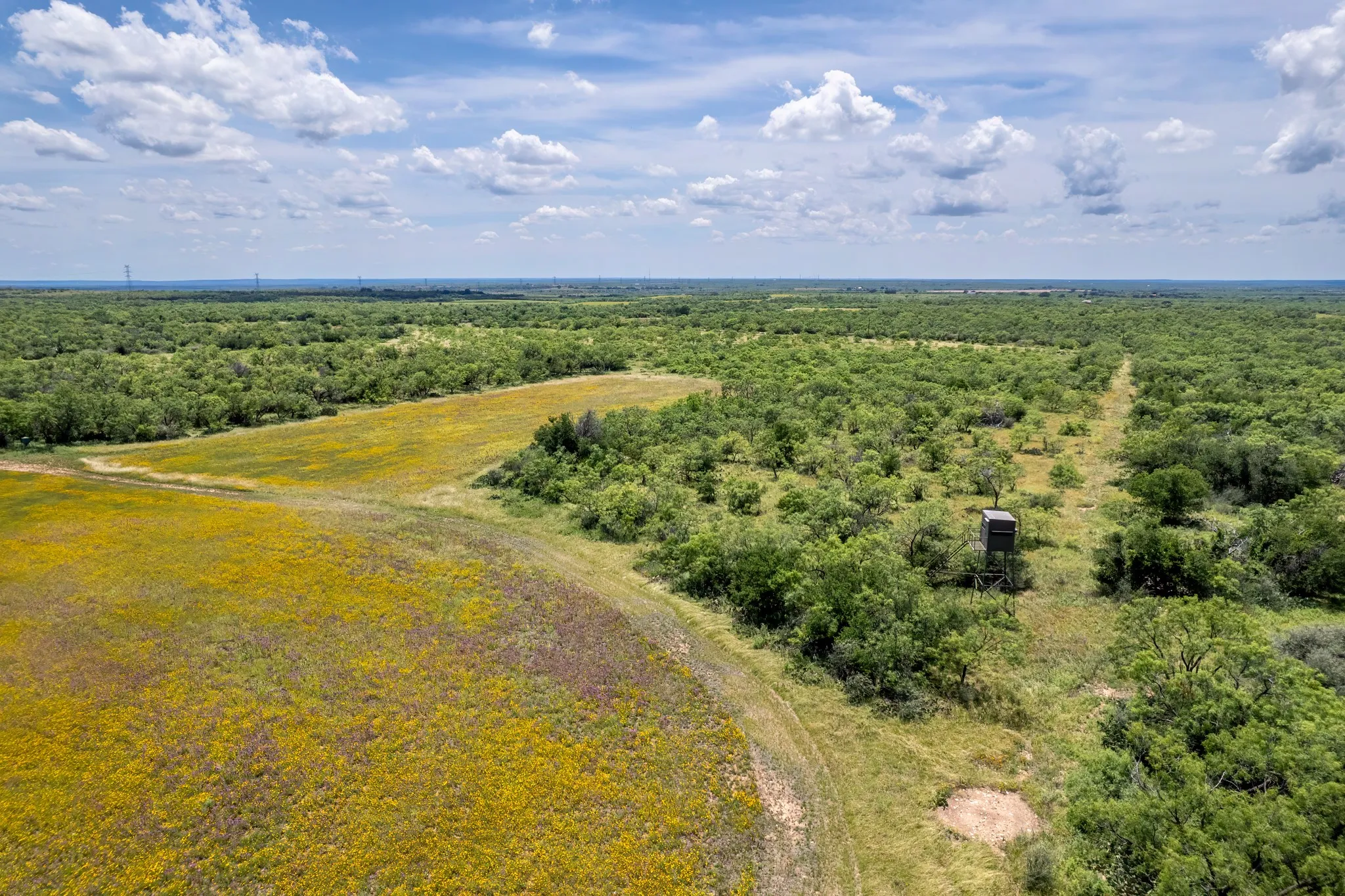 Ranch For Sale in Coleman County , 1171 County Road 315, Gouldbusk, Texas 76845, 0, 0, Garage spaces, 0 Sqft, built in 0, Price $945,000, mls#21287811, Real Estate Agent in Gouldbusk, Homes For Sale in Coleman county, Homes For Sale in Gouldbusk, Realtor in Gouldbusk Texas, Real Estate Brokerage Independent Realty Texas, Luminita Cordes Realtor