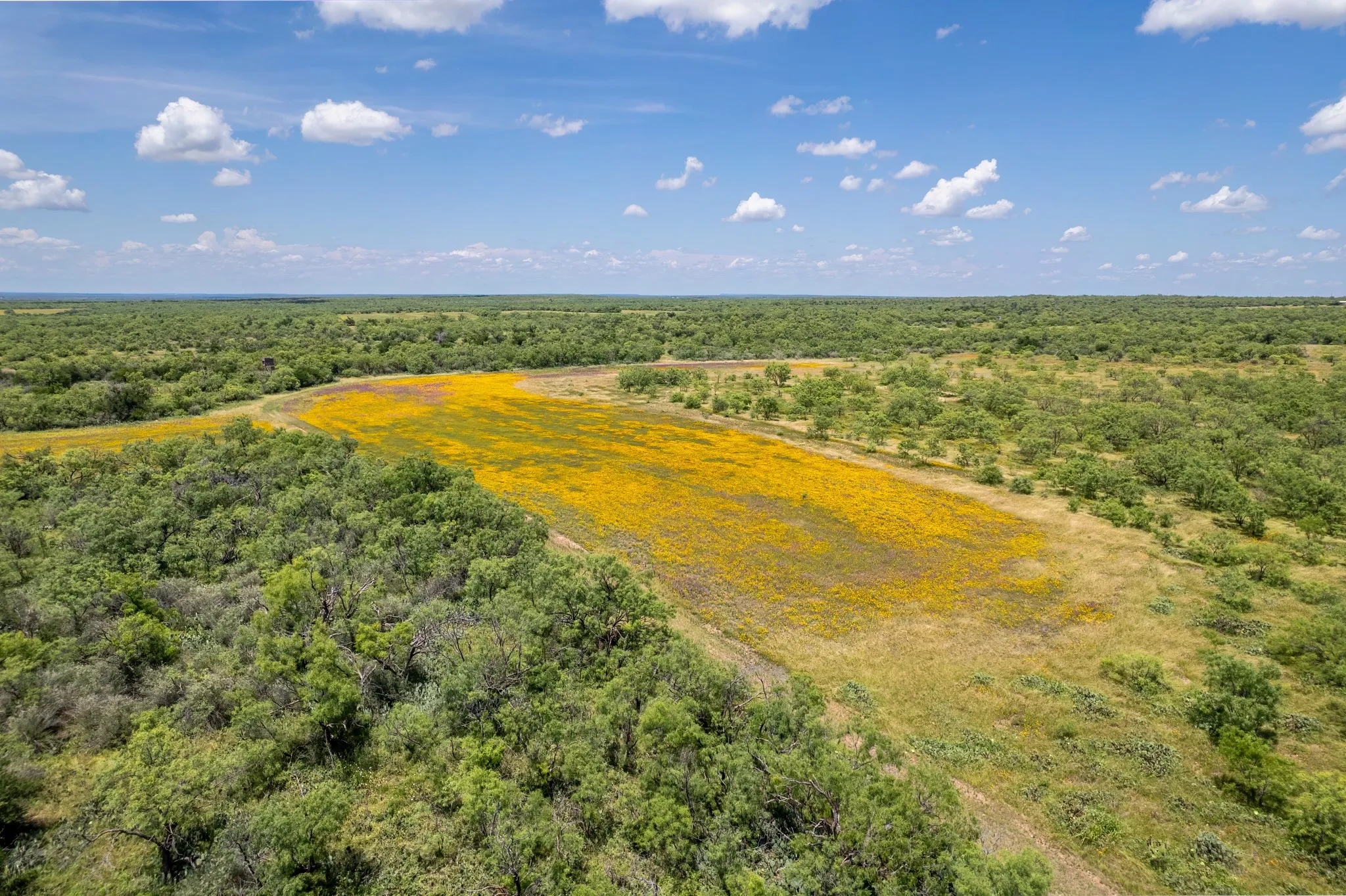Ranch For Sale in Coleman County , 1171 County Road 315, Gouldbusk, Texas 76845, 0, 0, Garage spaces, 0 Sqft, built in 0, Price $945,000, mls#21287811, Real Estate Agent in Gouldbusk, Homes For Sale in Coleman county, Homes For Sale in Gouldbusk, Realtor in Gouldbusk Texas, Real Estate Brokerage Independent Realty Texas, Luminita Cordes Realtor