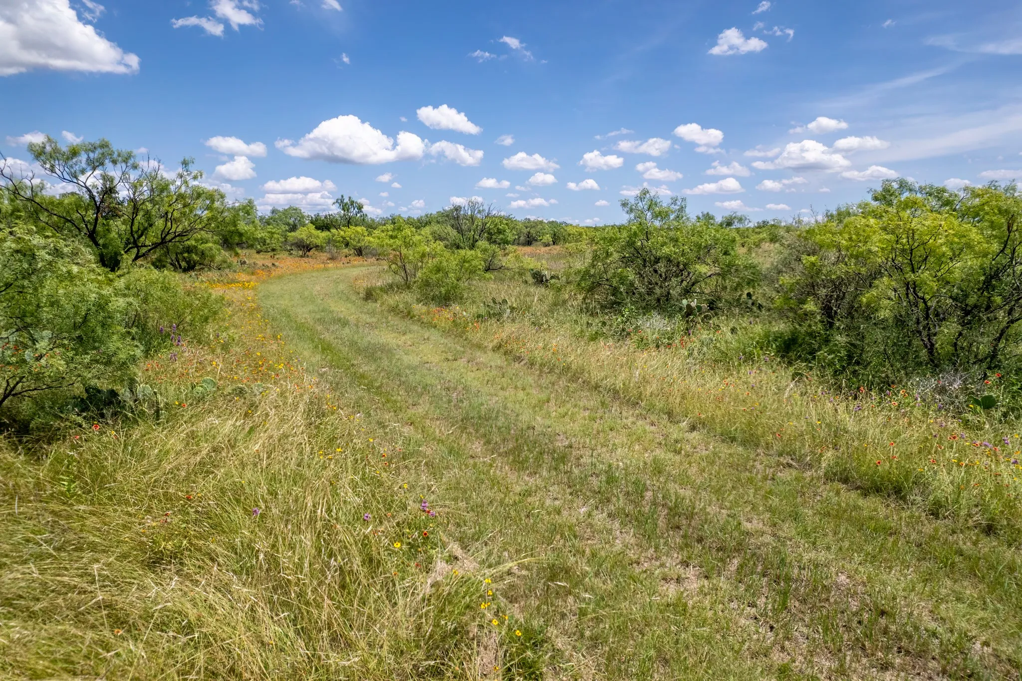 Ranch For Sale in Coleman County , 1171 County Road 315, Gouldbusk, Texas 76845, 0, 0, Garage spaces, 0 Sqft, built in 0, Price $945,000, mls#21287811, Real Estate Agent in Gouldbusk, Homes For Sale in Coleman county, Homes For Sale in Gouldbusk, Realtor in Gouldbusk Texas, Real Estate Brokerage Independent Realty Texas, Luminita Cordes Realtor
