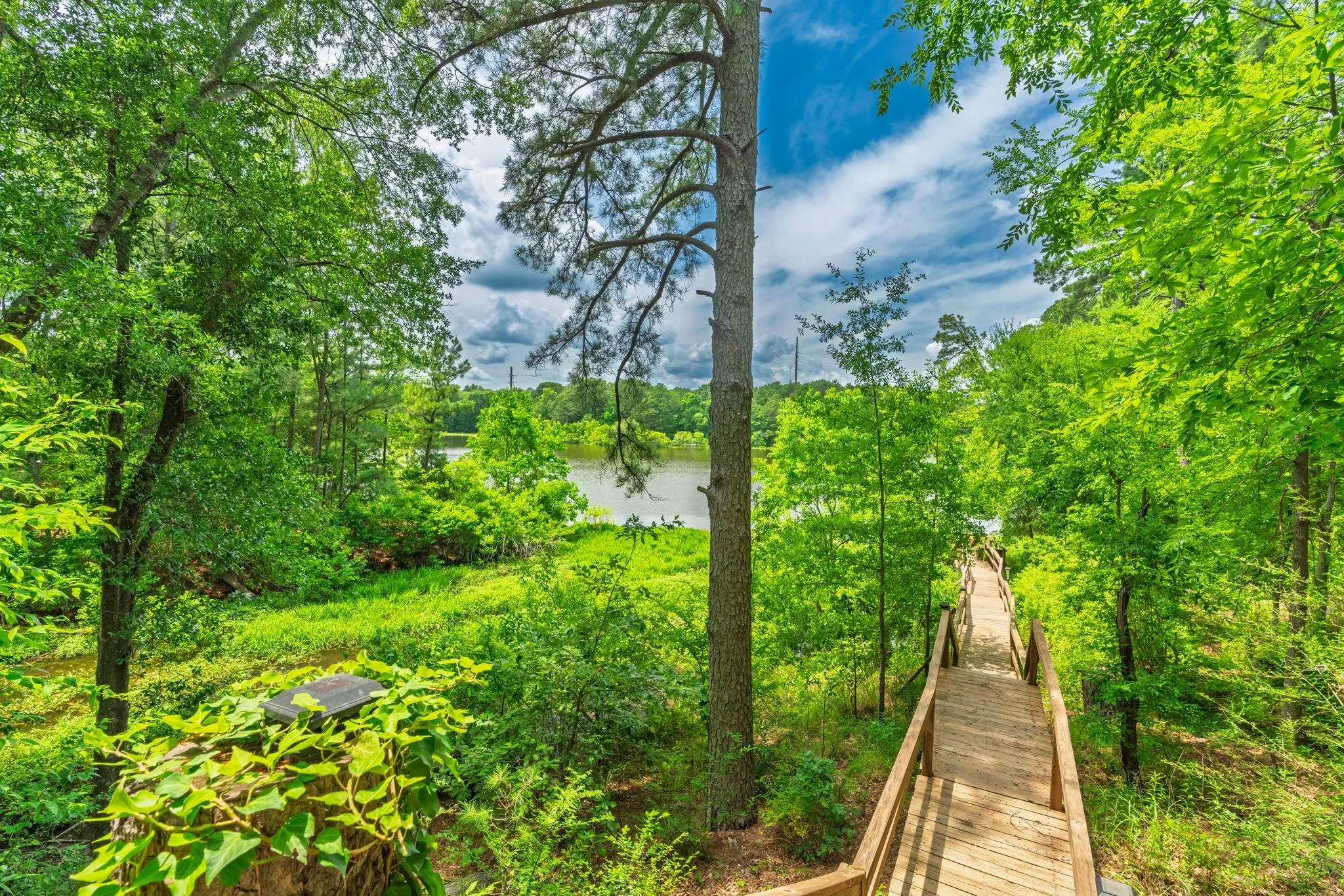 Dock out to the lake