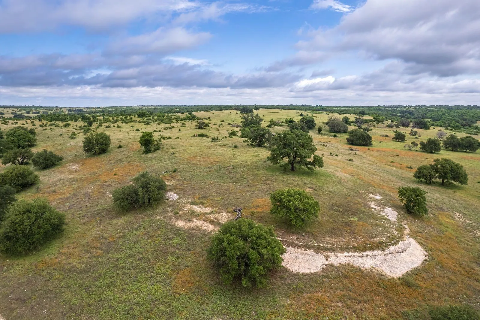 Expansive open acreage featuring rolling terrain and scattered mature trees