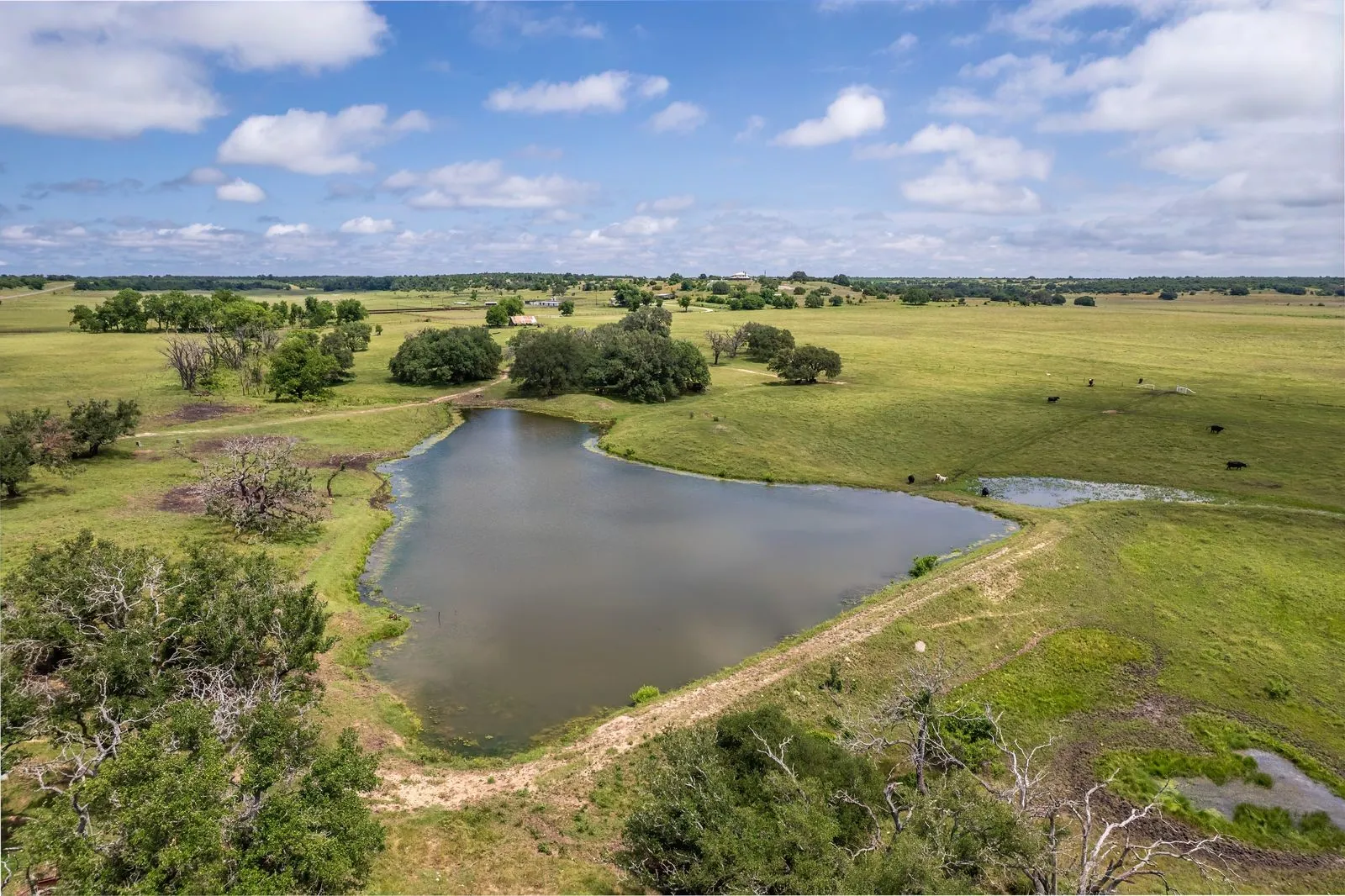 Expansive land parcel featuring a large pond and mature trees