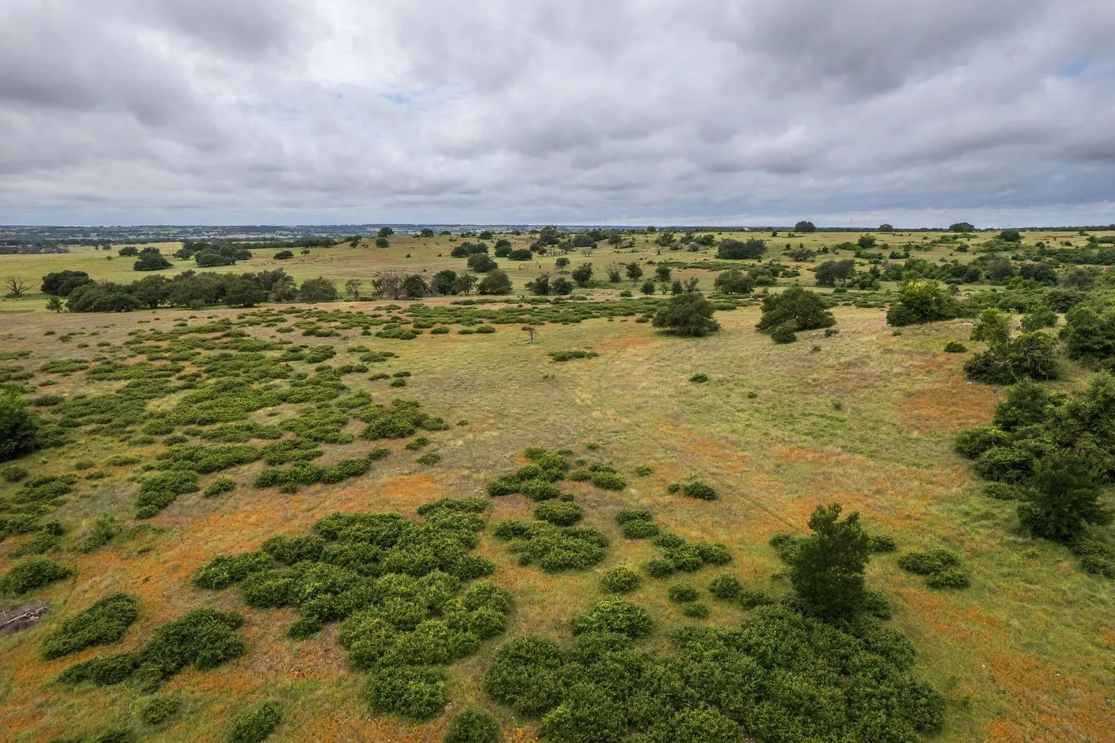 Expansive landscape featuring rolling terrain and scattered mature trees