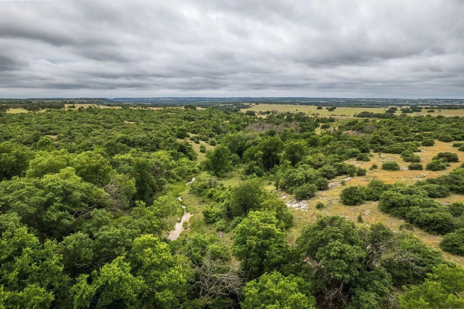 Expansive land featuring diverse tree cover, open grassy areas, and a meandering creek bed