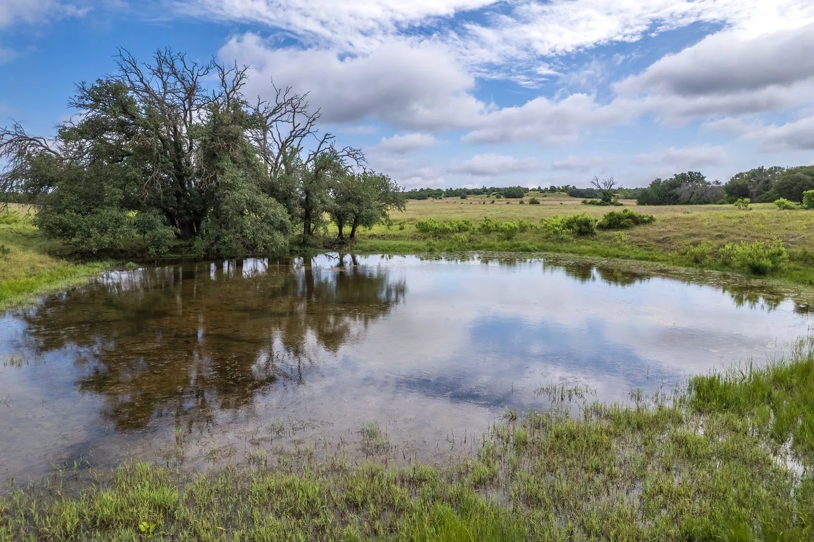 Natural pond with reflections of the sky and trees, surrounded by grassy terrain and distant foliage