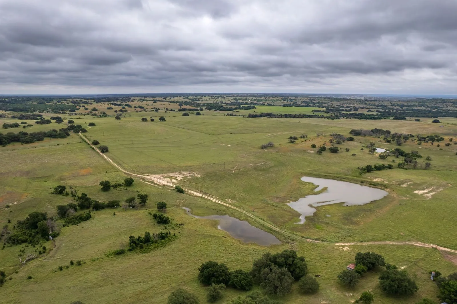 Expansive rural landscape featuring green pastures, scattered mature trees, and a visible pond