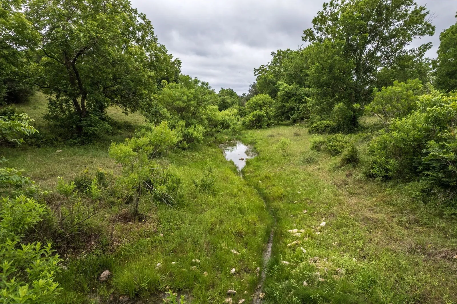 Natural land parcel featuring a gentle water channel, abundant mature trees, and varied green foliage