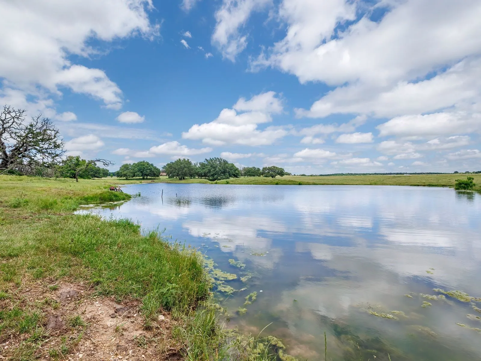 Expansive body of water with reflections of a blue sky and clouds