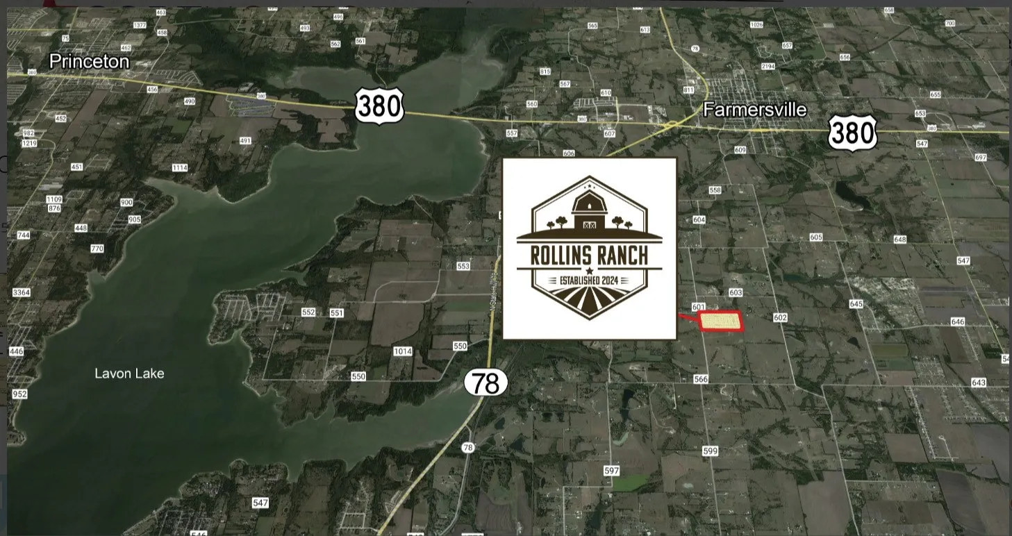 Unimproved Land For Sale in Collin County , 3115 COUNTY ROAD 601, Farmersville, Texas 75442, 0, 0, Garage spaces, 0 Sqft, built in 0, Price $2,500,000, mls#21287915, Real Estate Agent in Farmersville, Homes For Sale in Collin county, Homes For Sale in Farmersville, Realtor in Farmersville Texas, Real Estate Brokerage Independent Realty Texas, Luminita Cordes Realtor