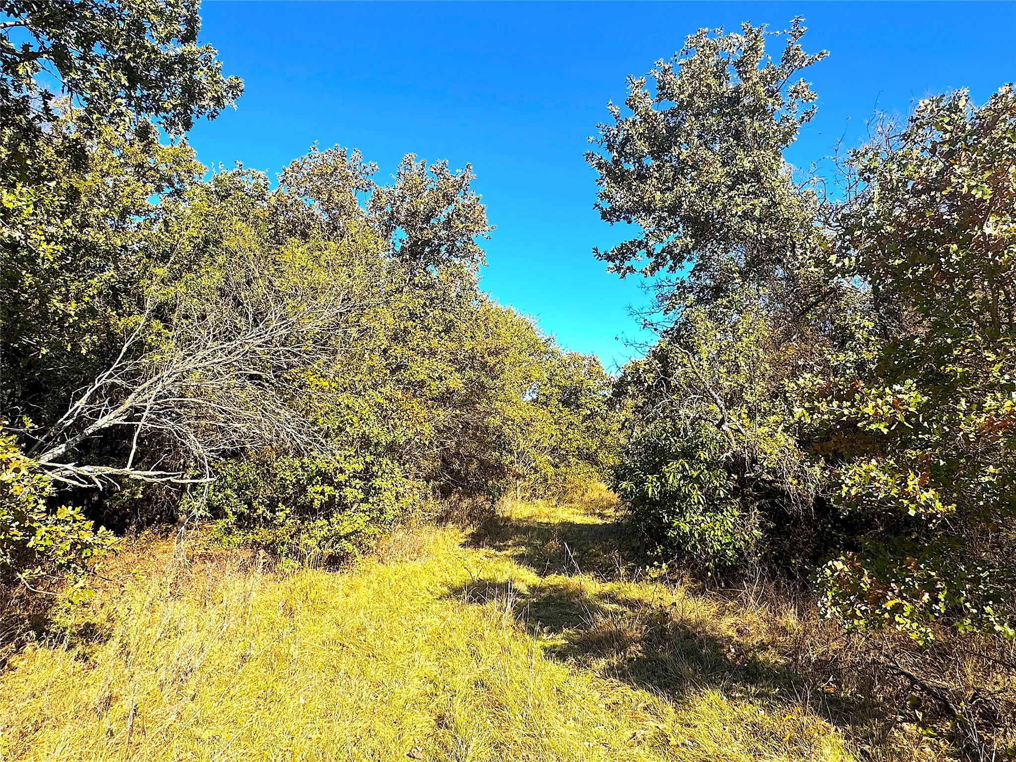 Unimproved Land For Sale in Jack County , 1849 Two Bush Road, Perrin, Texas 76486, 0, 0, Garage spaces, 0 Sqft, built in 0, Price $1,999,000, mls#21287955, Real Estate Agent in Perrin, Homes For Sale in Jack county, Homes For Sale in Perrin, Realtor in Perrin Texas, Real Estate Brokerage Independent Realty Texas, Luminita Cordes Realtor
