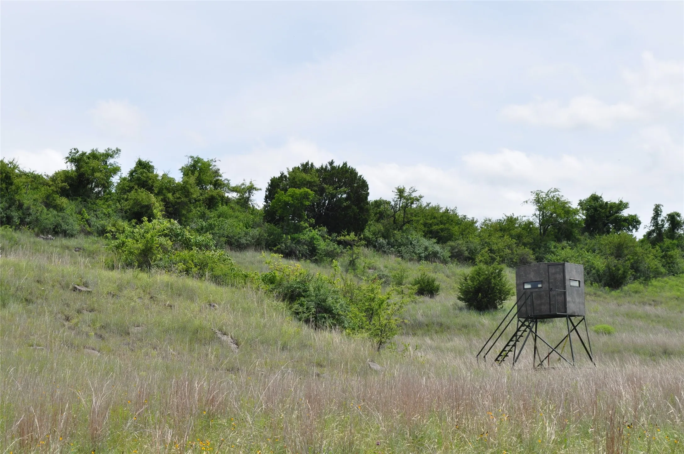 Unimproved Land For Sale in Jack County , 1849 Two Bush Road, Perrin, Texas 76486, 0, 0, Garage spaces, 0 Sqft, built in 0, Price $1,999,000, mls#21287955, Real Estate Agent in Perrin, Homes For Sale in Jack county, Homes For Sale in Perrin, Realtor in Perrin Texas, Real Estate Brokerage Independent Realty Texas, Luminita Cordes Realtor