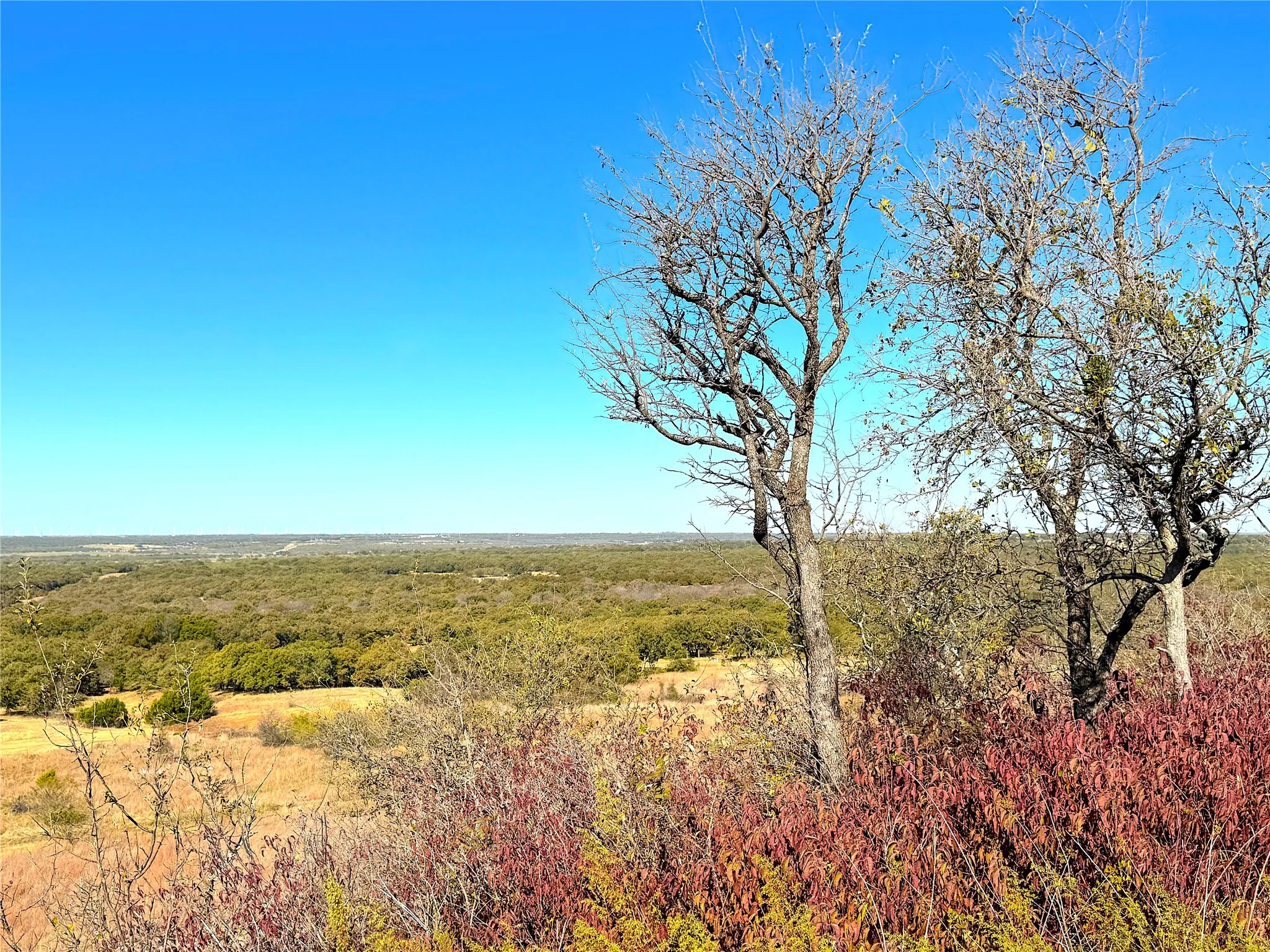 Unimproved Land For Sale in Jack County , 1849 Two Bush Road, Perrin, Texas 76486, 0, 0, Garage spaces, 0 Sqft, built in 0, Price $1,999,000, mls#21287955, Real Estate Agent in Perrin, Homes For Sale in Jack county, Homes For Sale in Perrin, Realtor in Perrin Texas, Real Estate Brokerage Independent Realty Texas, Luminita Cordes Realtor