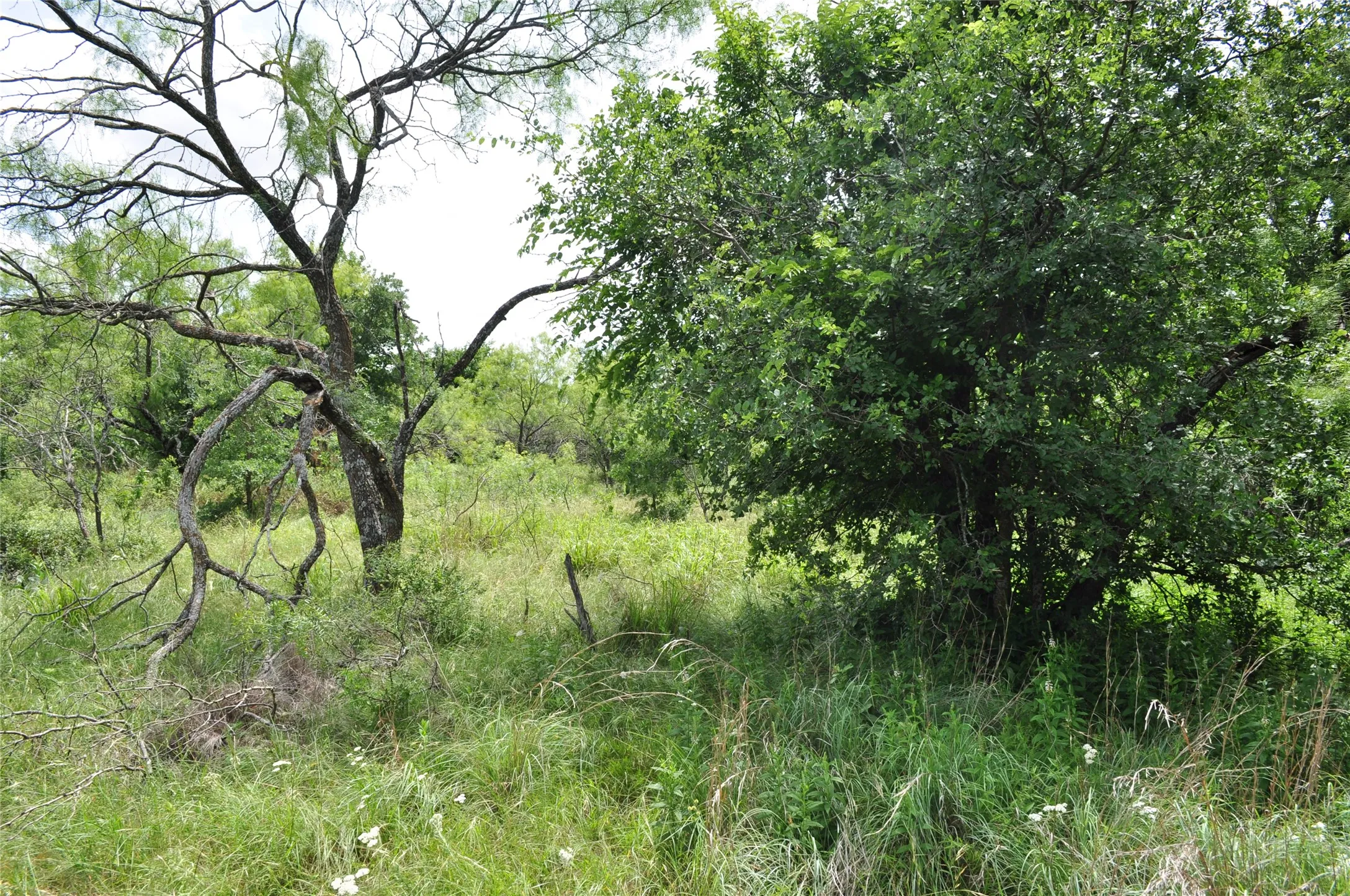 Unimproved Land For Sale in Jack County , 1849 Two Bush Road, Perrin, Texas 76486, 0, 0, Garage spaces, 0 Sqft, built in 0, Price $1,999,000, mls#21287955, Real Estate Agent in Perrin, Homes For Sale in Jack county, Homes For Sale in Perrin, Realtor in Perrin Texas, Real Estate Brokerage Independent Realty Texas, Luminita Cordes Realtor
