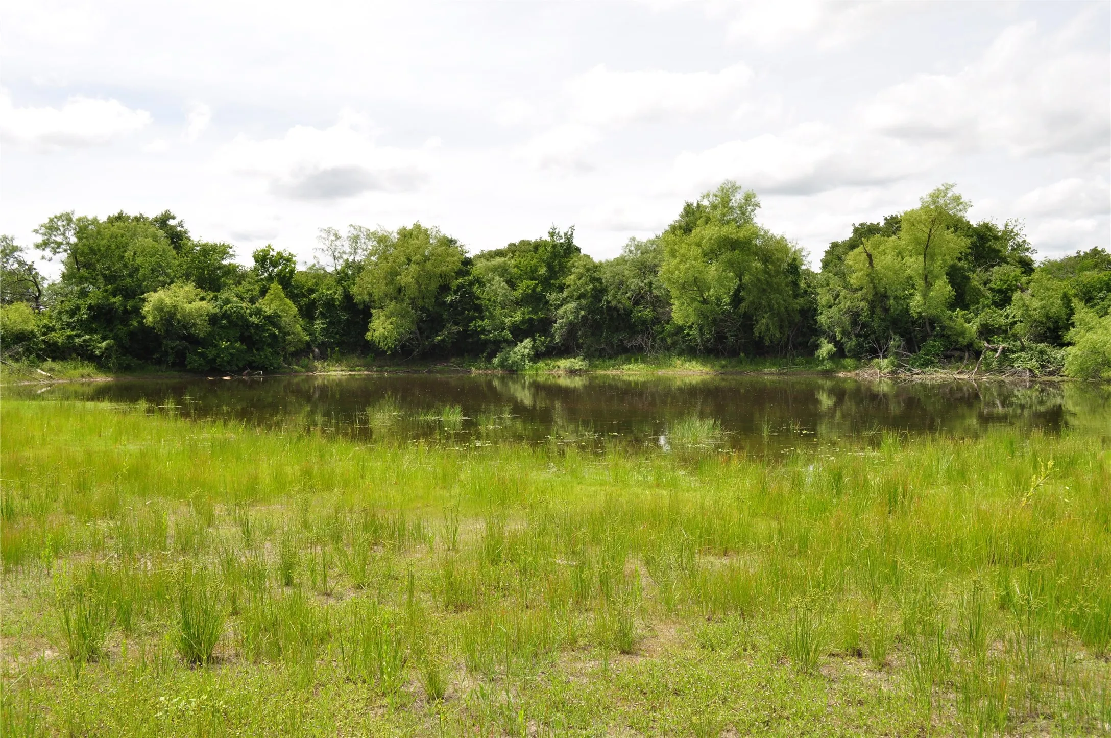 Unimproved Land For Sale in Jack County , 1849 Two Bush Road, Perrin, Texas 76486, 0, 0, Garage spaces, 0 Sqft, built in 0, Price $1,999,000, mls#21287955, Real Estate Agent in Perrin, Homes For Sale in Jack county, Homes For Sale in Perrin, Realtor in Perrin Texas, Real Estate Brokerage Independent Realty Texas, Luminita Cordes Realtor