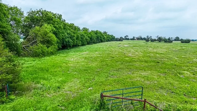 Unimproved Land For Sale in Collin County , TBD Tract 1 County Road 673, Leonard, Texas 75452, 0, 0, Garage spaces, 0 Sqft, built in 0, mls#21287865, Real Estate Agent in Leonard, Homes For Sale in Collin county, Homes For Sale in Leonard, Realtor in Leonard Texas, Real Estate Brokerage Independent Realty Texas, Luminita Cordes Realtor