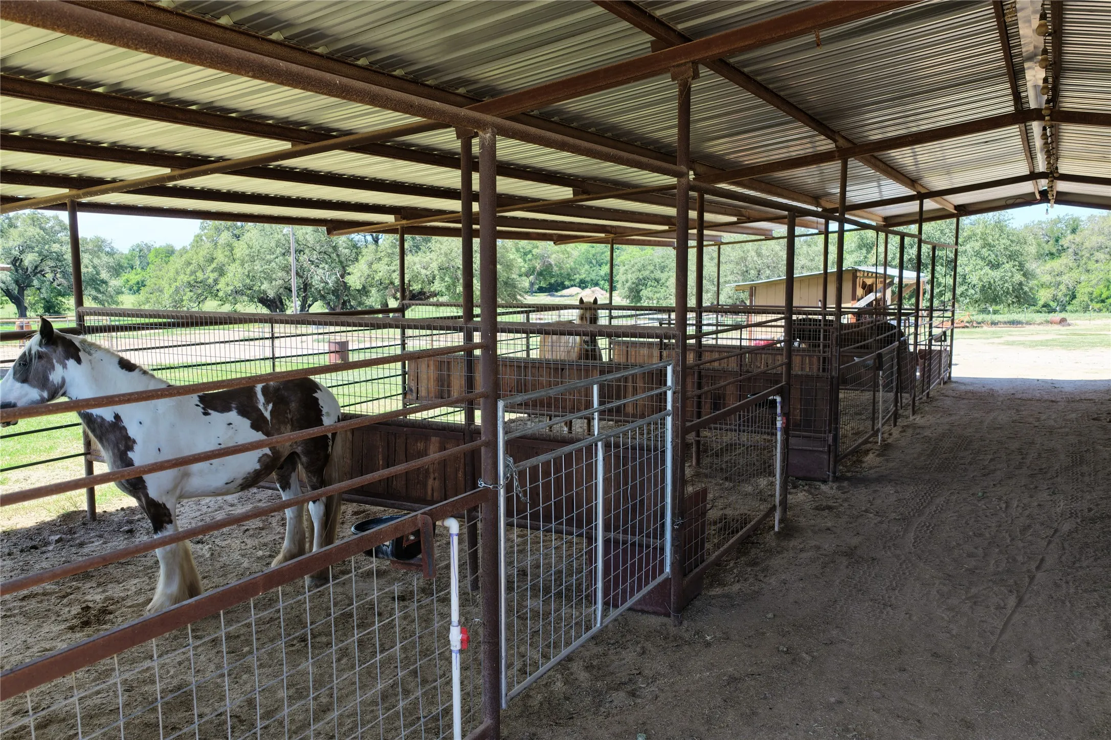 Farm For Sale in Comanche County , 3900 County Road 304a, Comanche, Texas 76442, 4 Bedroom, 3 Bathroom, Garage spaces, 1,650 Sqft, built in 1964, mls#21283708, Real Estate Agent in Comanche, Homes For Sale in Comanche county, Homes For Sale in Comanche, Realtor in Comanche Texas, Real Estate Brokerage Independent Realty Texas, Luminita Cordes Realtor