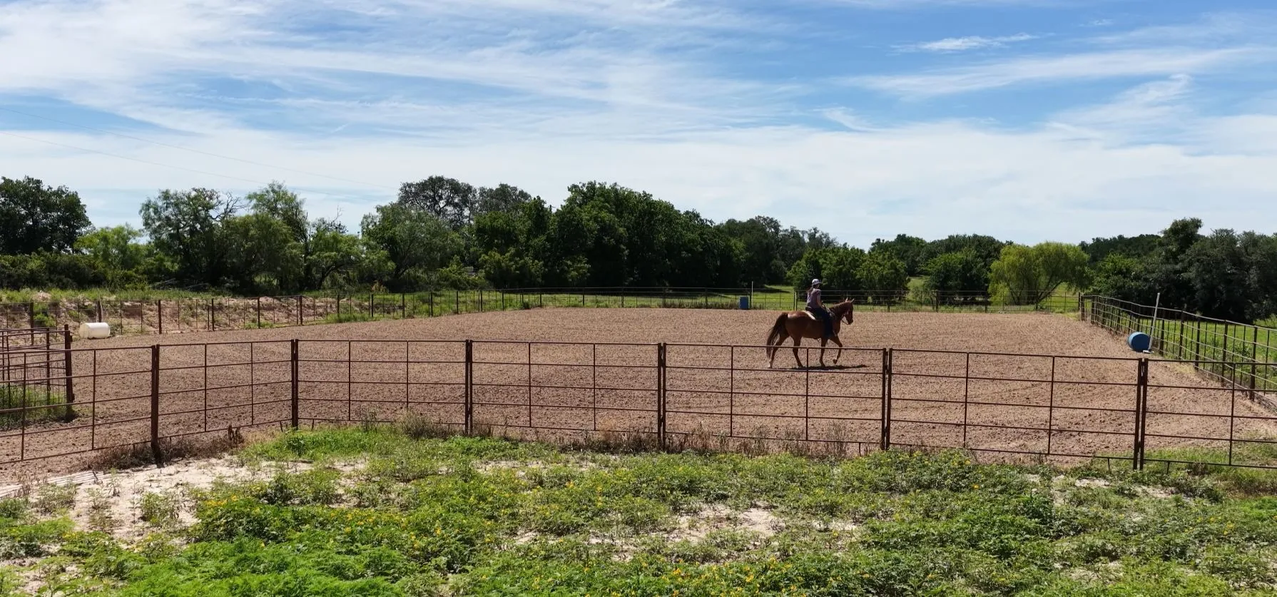 Farm For Sale in Comanche County , 3900 County Road 304a, Comanche, Texas 76442, 4 Bedroom, 3 Bathroom, Garage spaces, 1,650 Sqft, built in 1964, mls#21283708, Real Estate Agent in Comanche, Homes For Sale in Comanche county, Homes For Sale in Comanche, Realtor in Comanche Texas, Real Estate Brokerage Independent Realty Texas, Luminita Cordes Realtor