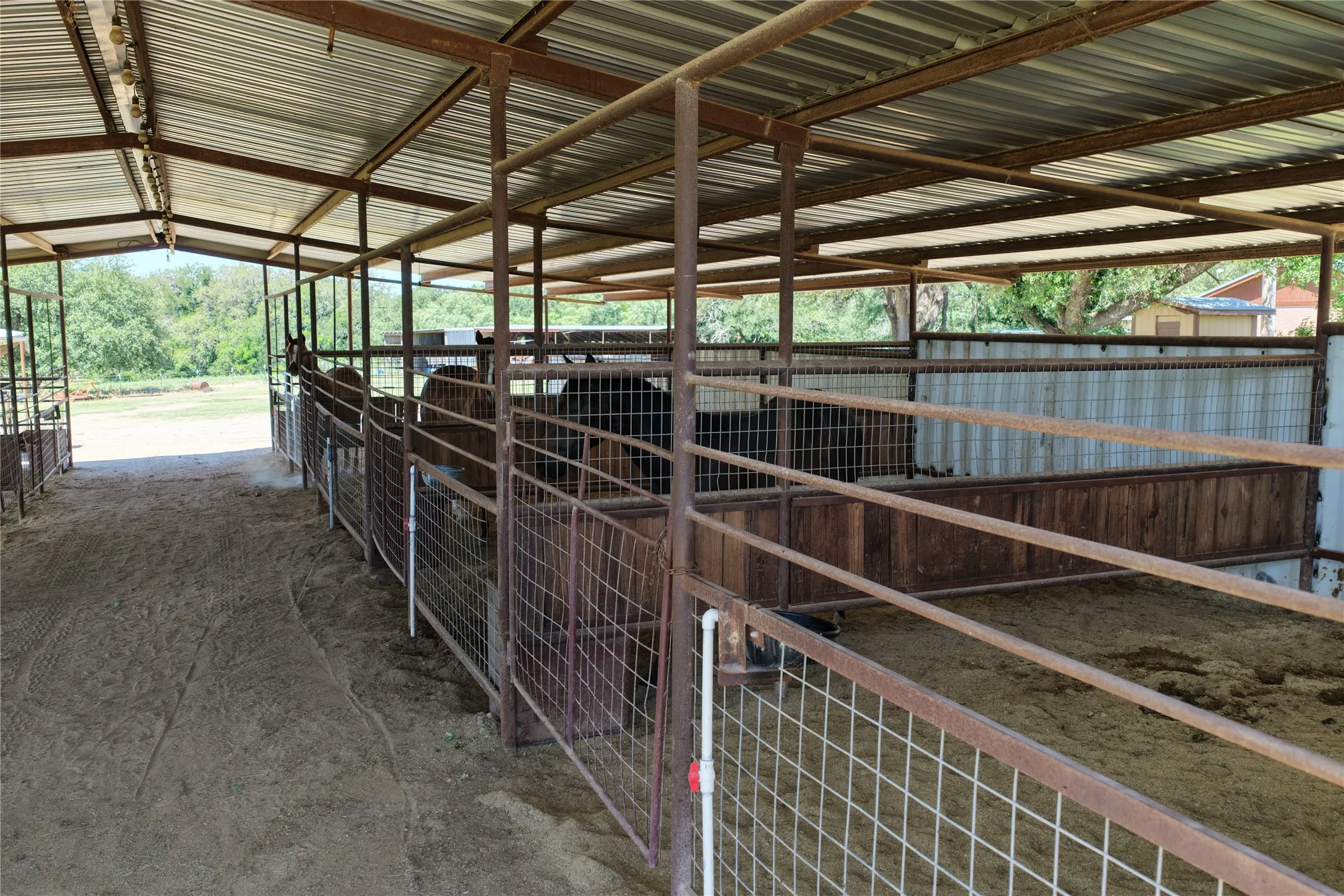 Farm For Sale in Comanche County , 3900 County Road 304a, Comanche, Texas 76442, 4 Bedroom, 3 Bathroom, Garage spaces, 1,650 Sqft, built in 1964, mls#21283708, Real Estate Agent in Comanche, Homes For Sale in Comanche county, Homes For Sale in Comanche, Realtor in Comanche Texas, Real Estate Brokerage Independent Realty Texas, Luminita Cordes Realtor