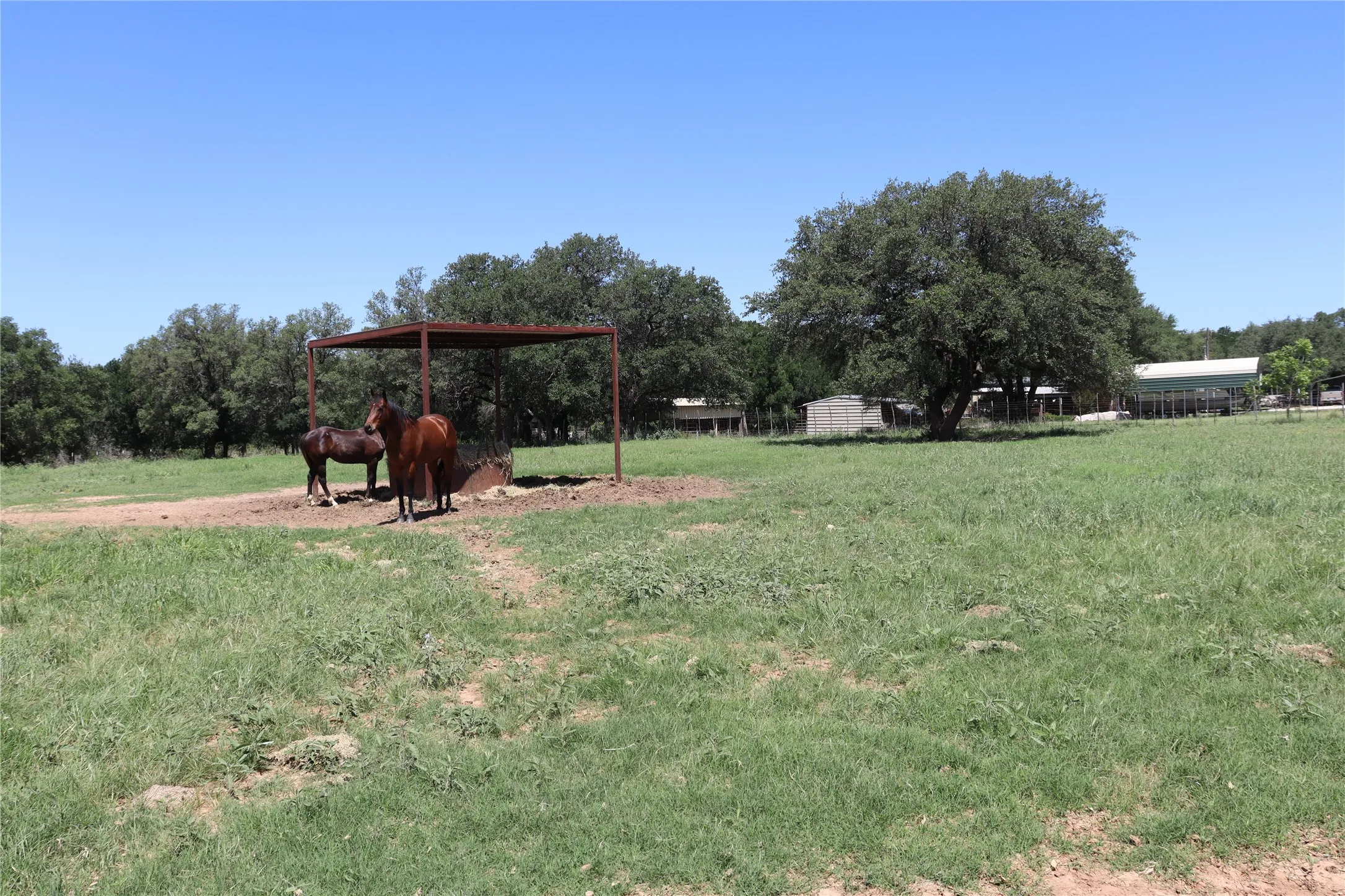 Farm For Sale in Comanche County , 3900 County Road 304a, Comanche, Texas 76442, 4 Bedroom, 3 Bathroom, Garage spaces, 1,650 Sqft, built in 1964, mls#21283708, Real Estate Agent in Comanche, Homes For Sale in Comanche county, Homes For Sale in Comanche, Realtor in Comanche Texas, Real Estate Brokerage Independent Realty Texas, Luminita Cordes Realtor