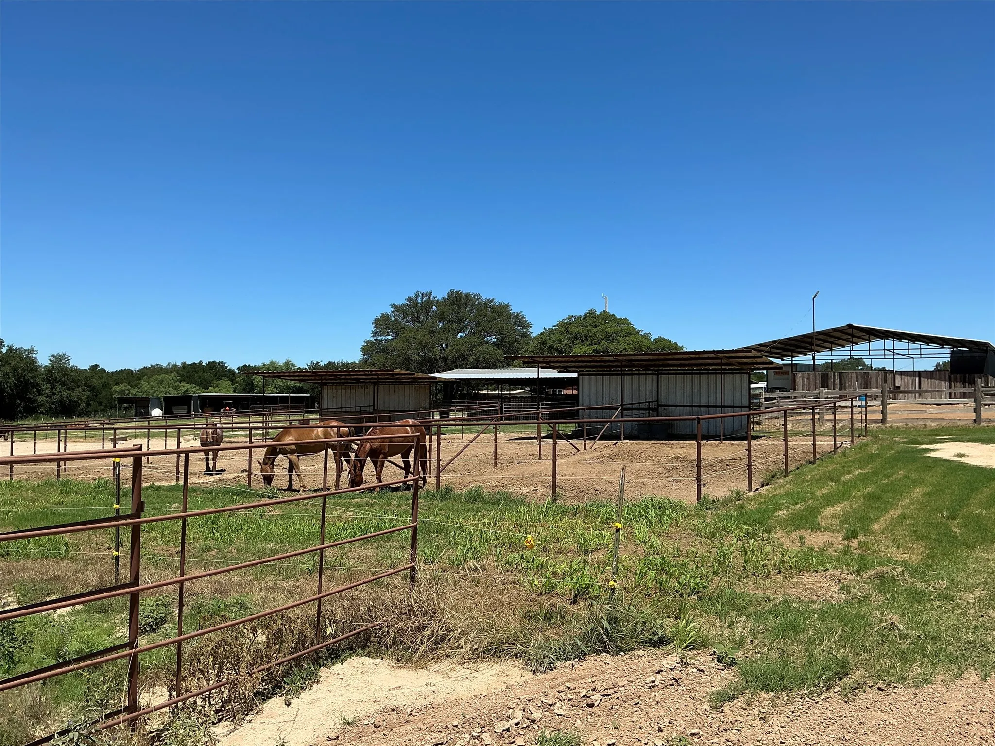 Farm For Sale in Comanche County , 3900 County Road 304a, Comanche, Texas 76442, 4 Bedroom, 3 Bathroom, Garage spaces, 1,650 Sqft, built in 1964, mls#21283708, Real Estate Agent in Comanche, Homes For Sale in Comanche county, Homes For Sale in Comanche, Realtor in Comanche Texas, Real Estate Brokerage Independent Realty Texas, Luminita Cordes Realtor