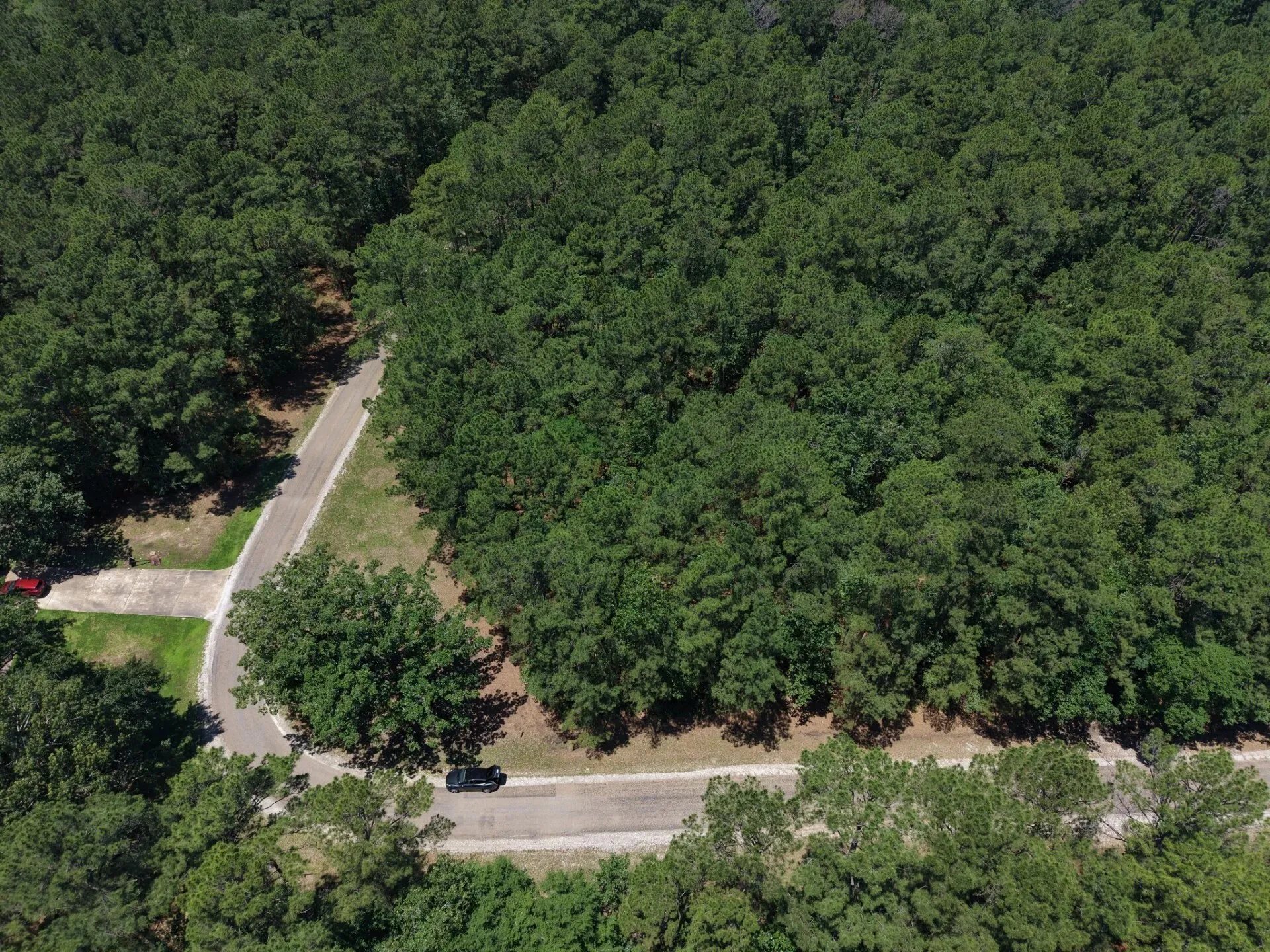 Unimproved Land For Sale in Trinity County , Lot 19 BH Caroll Street, Trinity, Texas 75862, 0, 0, Garage spaces, 0 Sqft, built in 0, Price $14,900, mls#21288065, Real Estate Agent in Trinity, Homes For Sale in Trinity county, Homes For Sale in Trinity, Realtor in Trinity Texas, Real Estate Brokerage Independent Realty Texas, Luminita Cordes Realtor