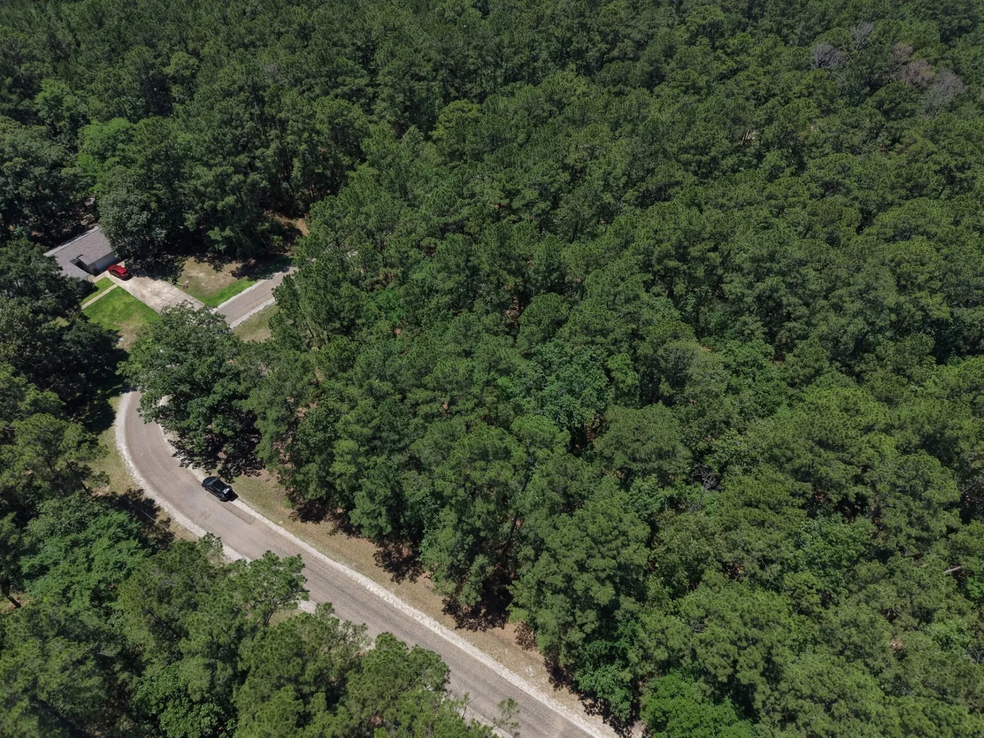 Unimproved Land For Sale in Trinity County , Lot 19 BH Caroll Street, Trinity, Texas 75862, 0, 0, Garage spaces, 0 Sqft, built in 0, Price $14,900, mls#21288065, Real Estate Agent in Trinity, Homes For Sale in Trinity county, Homes For Sale in Trinity, Realtor in Trinity Texas, Real Estate Brokerage Independent Realty Texas, Luminita Cordes Realtor