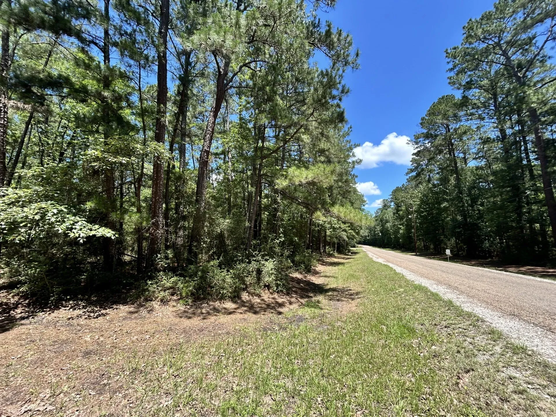 Unimproved Land For Sale in Trinity County , Lot 19 BH Caroll Street, Trinity, Texas 75862, 0, 0, Garage spaces, 0 Sqft, built in 0, Price $14,900, mls#21288065, Real Estate Agent in Trinity, Homes For Sale in Trinity county, Homes For Sale in Trinity, Realtor in Trinity Texas, Real Estate Brokerage Independent Realty Texas, Luminita Cordes Realtor