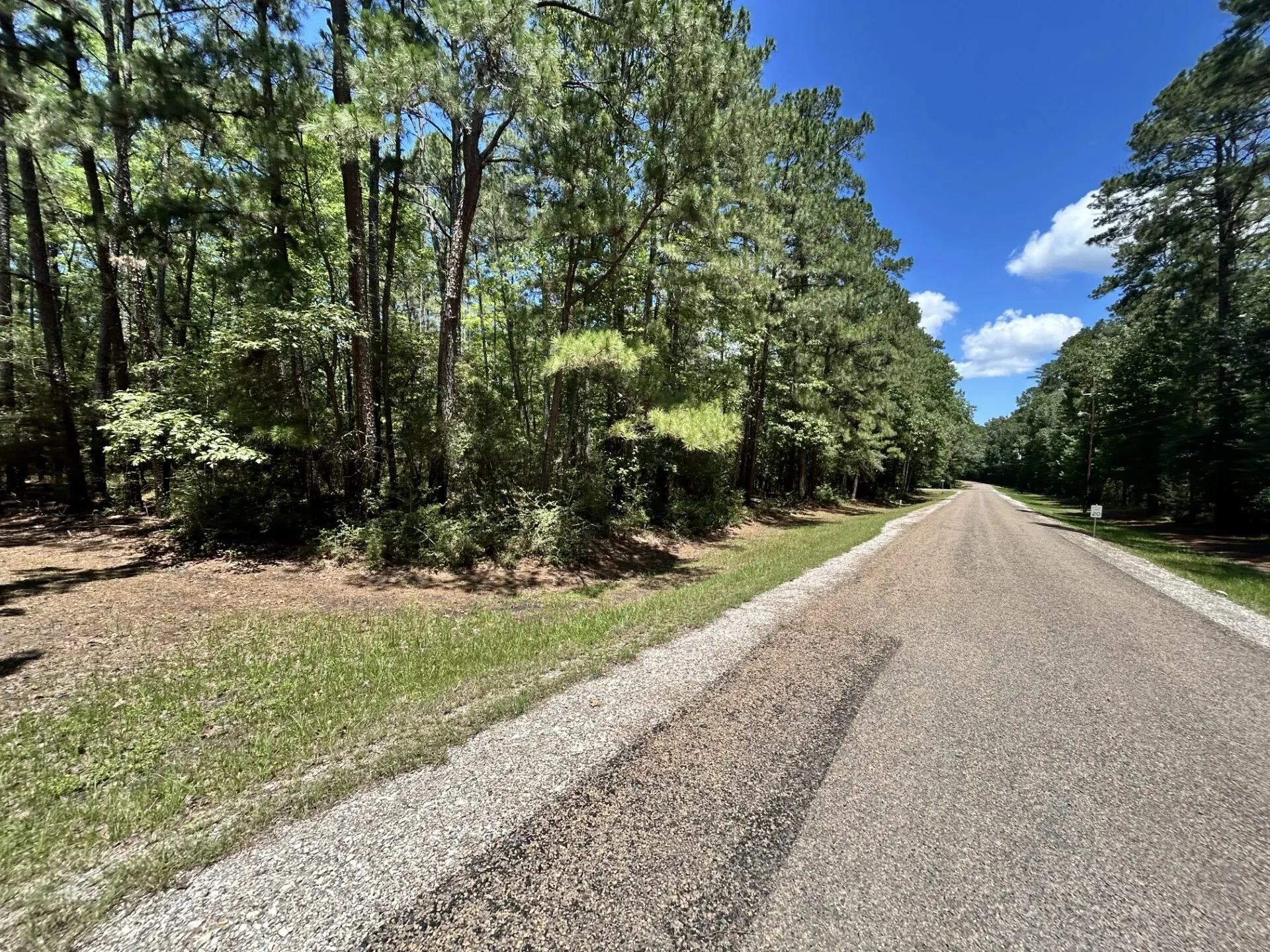 Unimproved Land For Sale in Trinity County , Lot 19 BH Caroll Street, Trinity, Texas 75862, 0, 0, Garage spaces, 0 Sqft, built in 0, Price $14,900, mls#21288065, Real Estate Agent in Trinity, Homes For Sale in Trinity county, Homes For Sale in Trinity, Realtor in Trinity Texas, Real Estate Brokerage Independent Realty Texas, Luminita Cordes Realtor