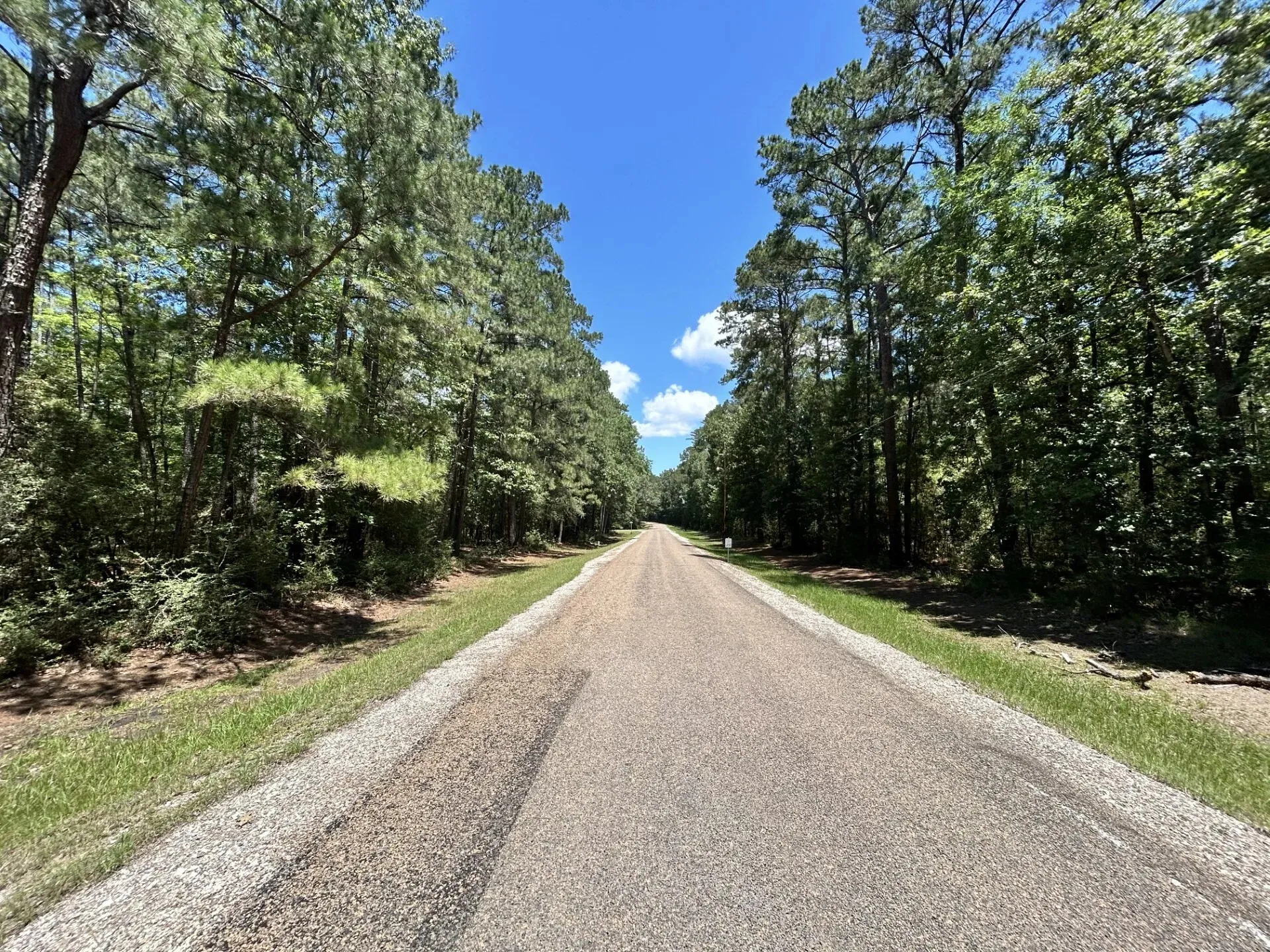 Unimproved Land For Sale in Trinity County , Lot 19 BH Caroll Street, Trinity, Texas 75862, 0, 0, Garage spaces, 0 Sqft, built in 0, Price $14,900, mls#21288065, Real Estate Agent in Trinity, Homes For Sale in Trinity county, Homes For Sale in Trinity, Realtor in Trinity Texas, Real Estate Brokerage Independent Realty Texas, Luminita Cordes Realtor